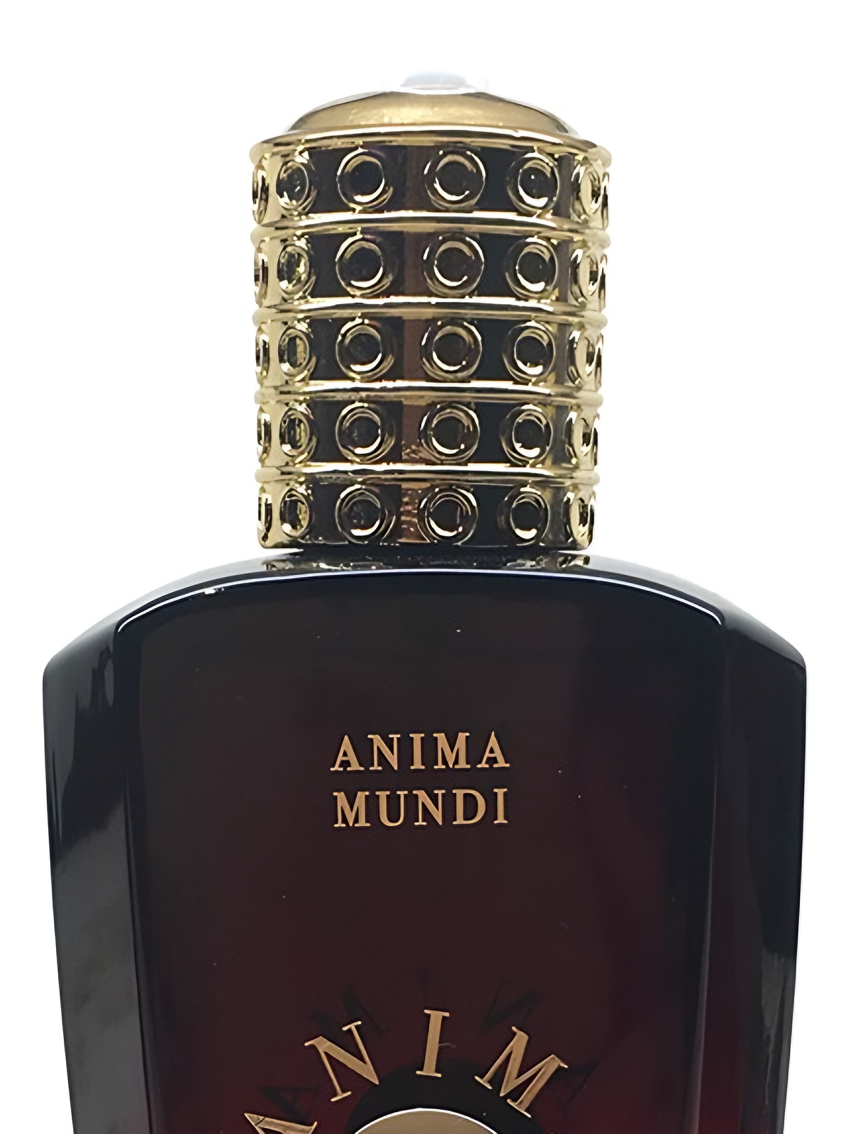Духи Anima Mundi Isvara Extrait de Parfum унисекс 75 мл, пряный вуди аромат фото 4