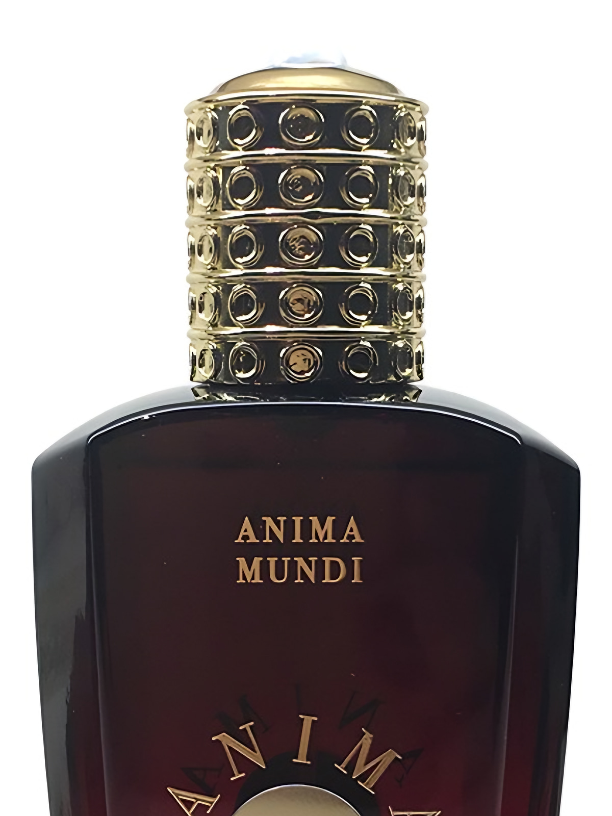 Духи Anima Mundi Tikal Extrait de Parfum унисекс 75 мл, пряный вуди аромат фото 3