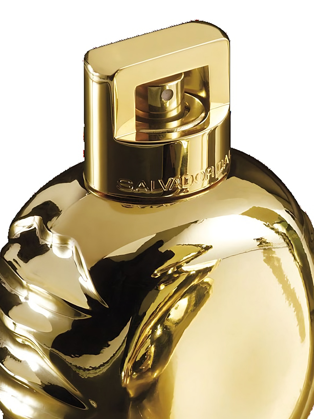 Парфюмерная вода Salvador Dali Fabulous Mandawa Eau de Parfum унисекс 100 мл фото 3
