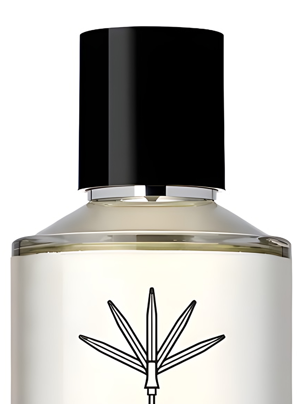 Парфюмерная вода Parle Moi de Parfum Chypre Mojo 45 Eau de Parfum унисекс 100 мл фото 3
