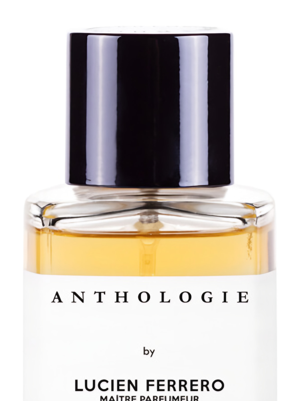 Парфюмерная вода Anthologie Par Amour Pour Lui Eau de Parfum мужская 100 мл фото 3