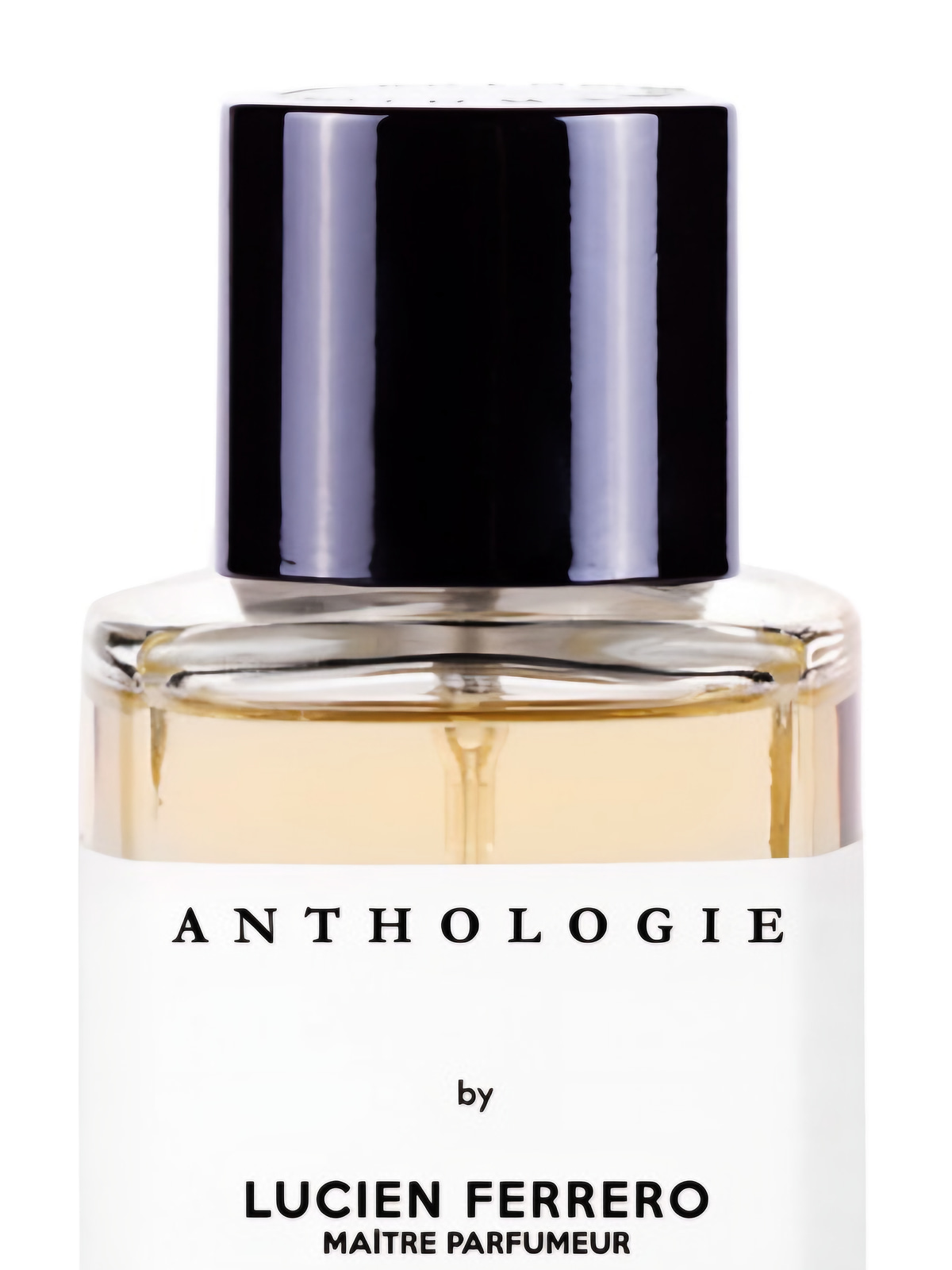 Парфюмерная вода Anthologie Par Amour Pour Elle Eau de Parfum женская 100 мл фото 3