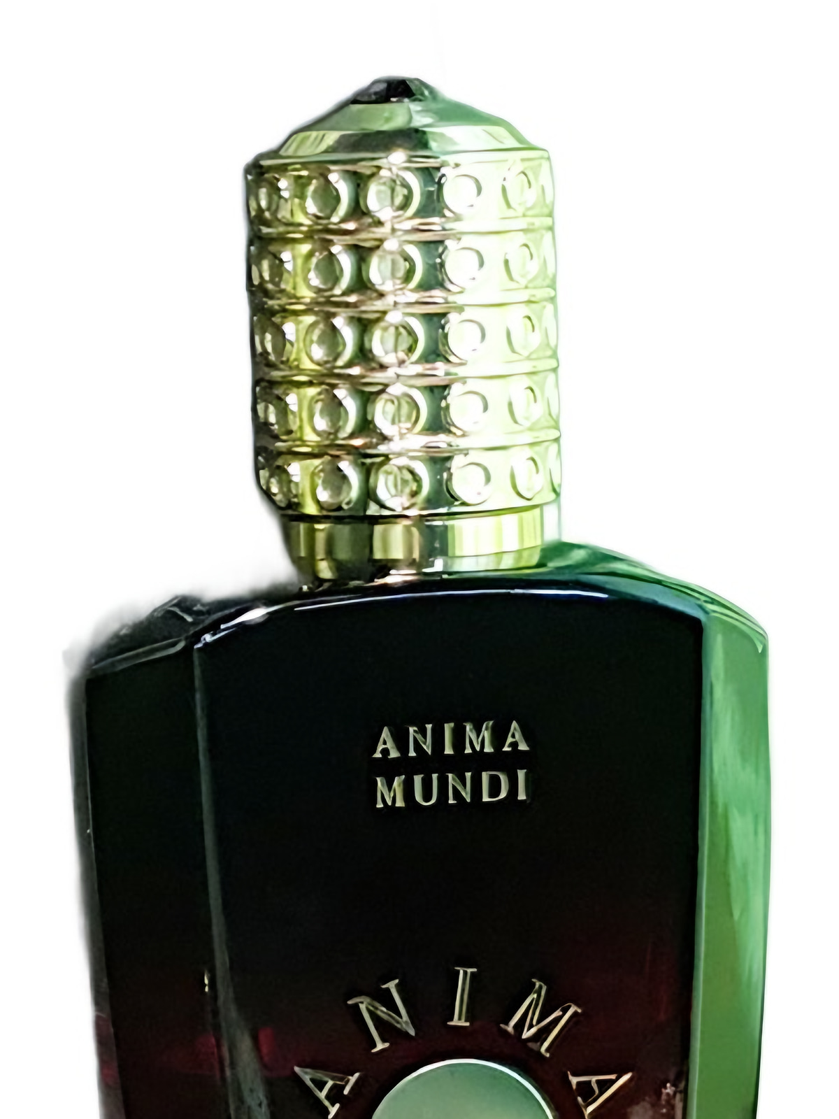Духи Anima Mundi Triskell Extrait de Parfum унисекс 75 мл, пряный фруктовый аромат фото 2