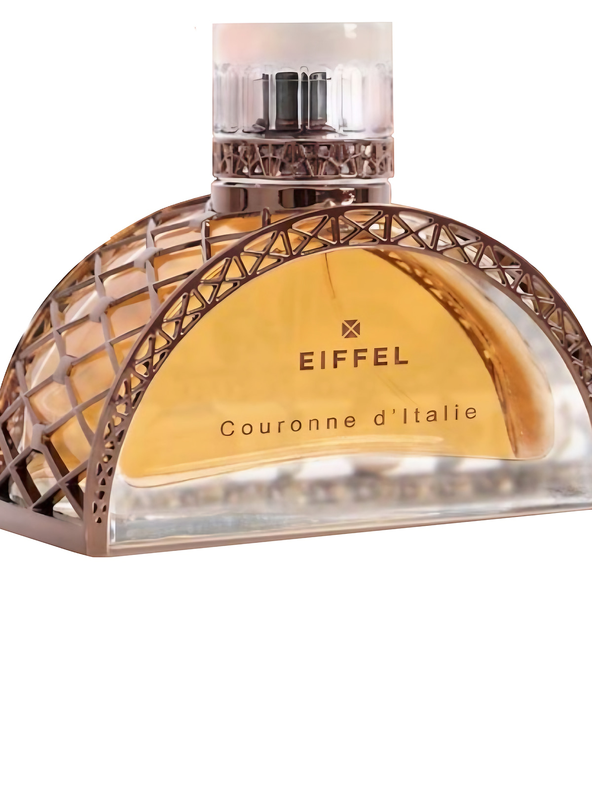 Парфюмерная вода Gustave Eiffel Couronne d'Italie Eau de Parfum унисекс 100 мл фото 2
