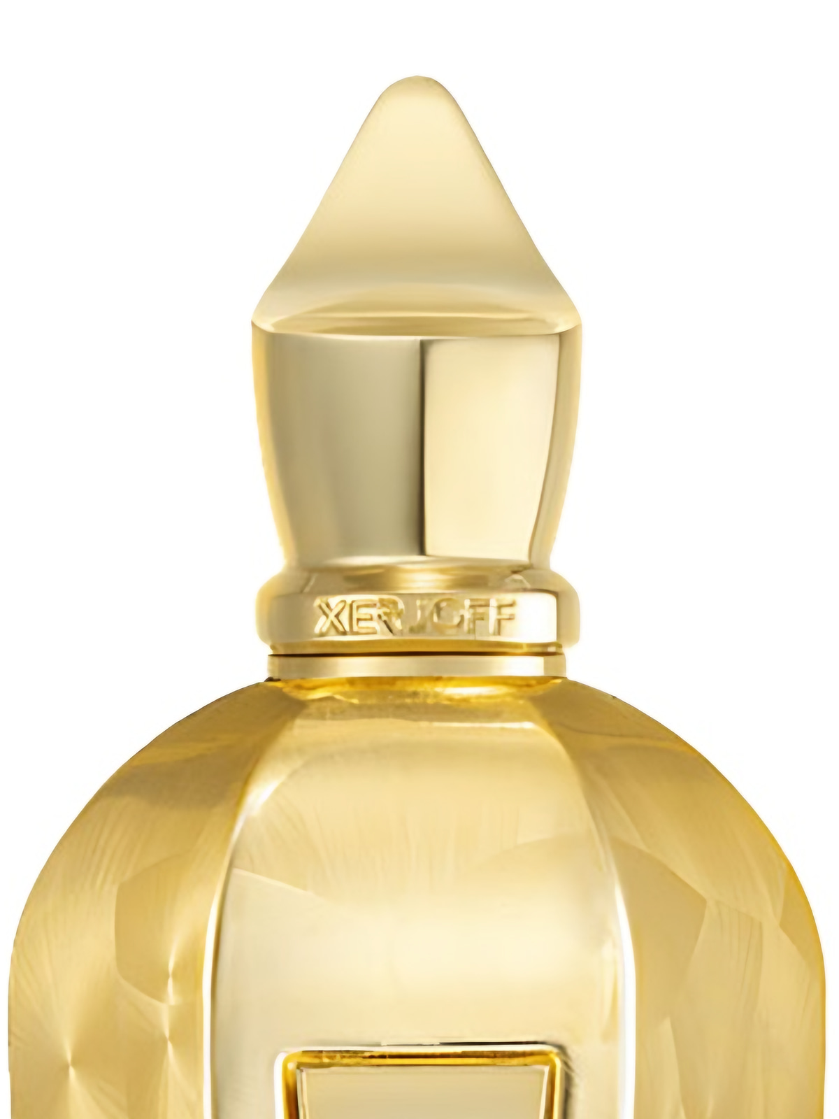 Парфюмерная вода Xerjoff Accento Overdose Eau de Parfum унисекс 100 мл фото 3