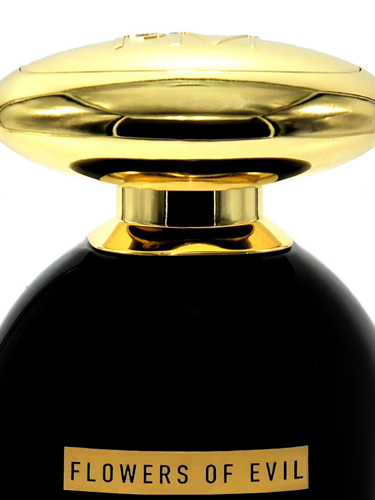 Парфюмерная вода Patrice Martin Flowers Of Evil Eau de Parfum женская 100 мл фото 3