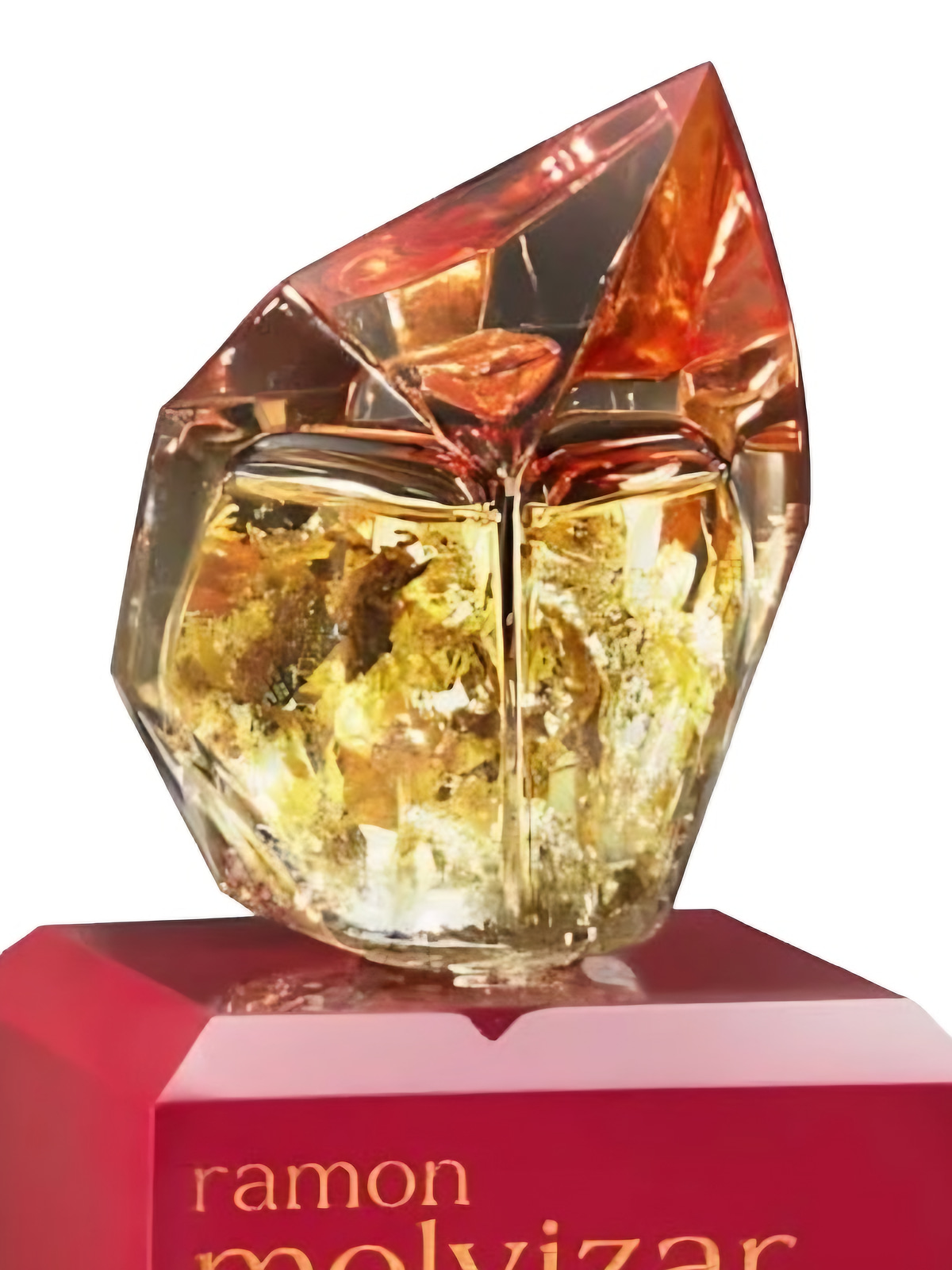 Парфюмерная вода Ramon Molvizar Feelings Eau de Parfum унисекс 75 мл фото 3