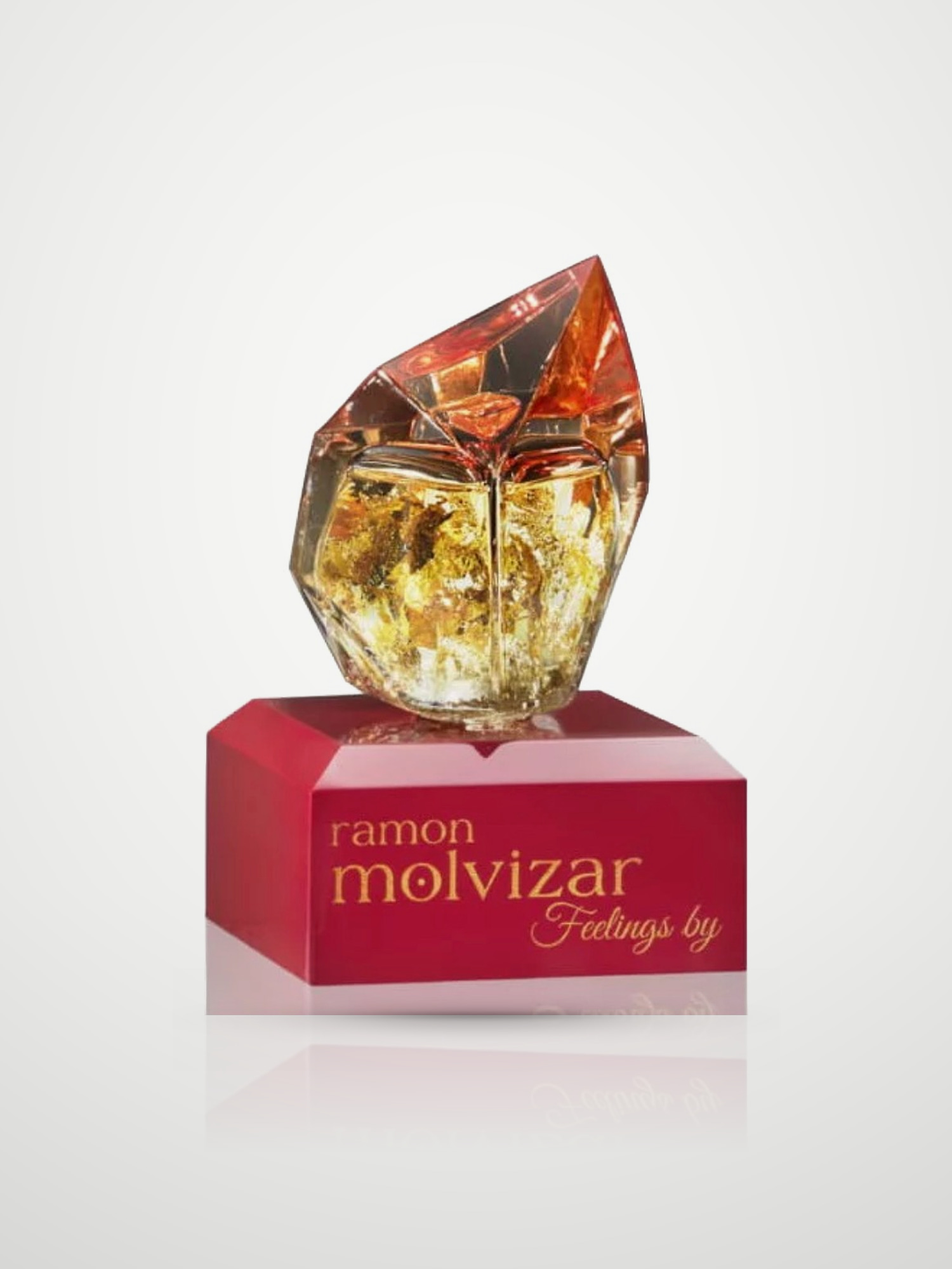 Парфюмерная вода Ramon Molvizar Feelings Eau de Parfum унисекс 75 мл Ramon Molvizar