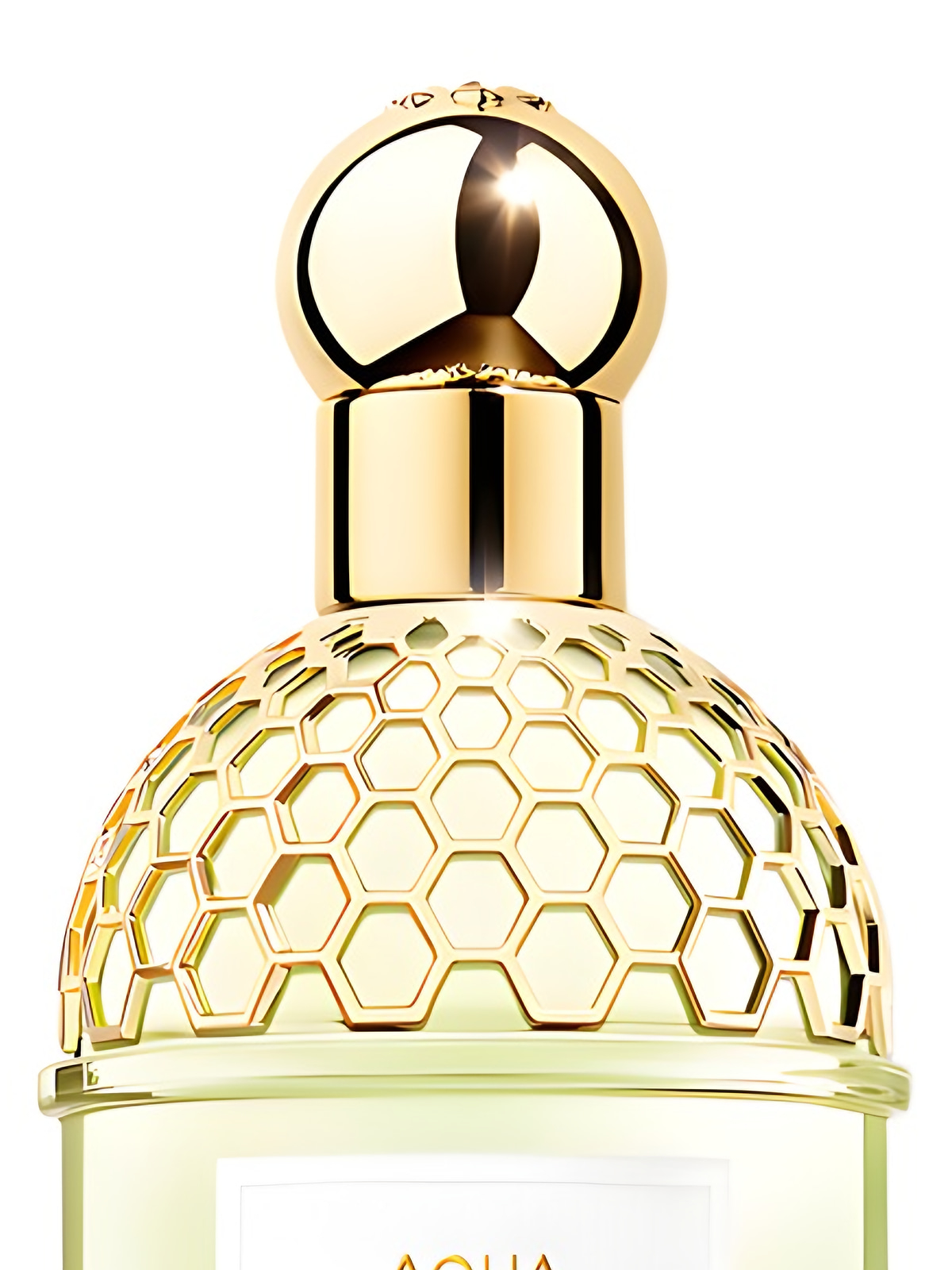 Туалетная вода Guerlain Aqua Allegoria Herba Fresca Eau de Toilette унисекс 75 мл фото 4