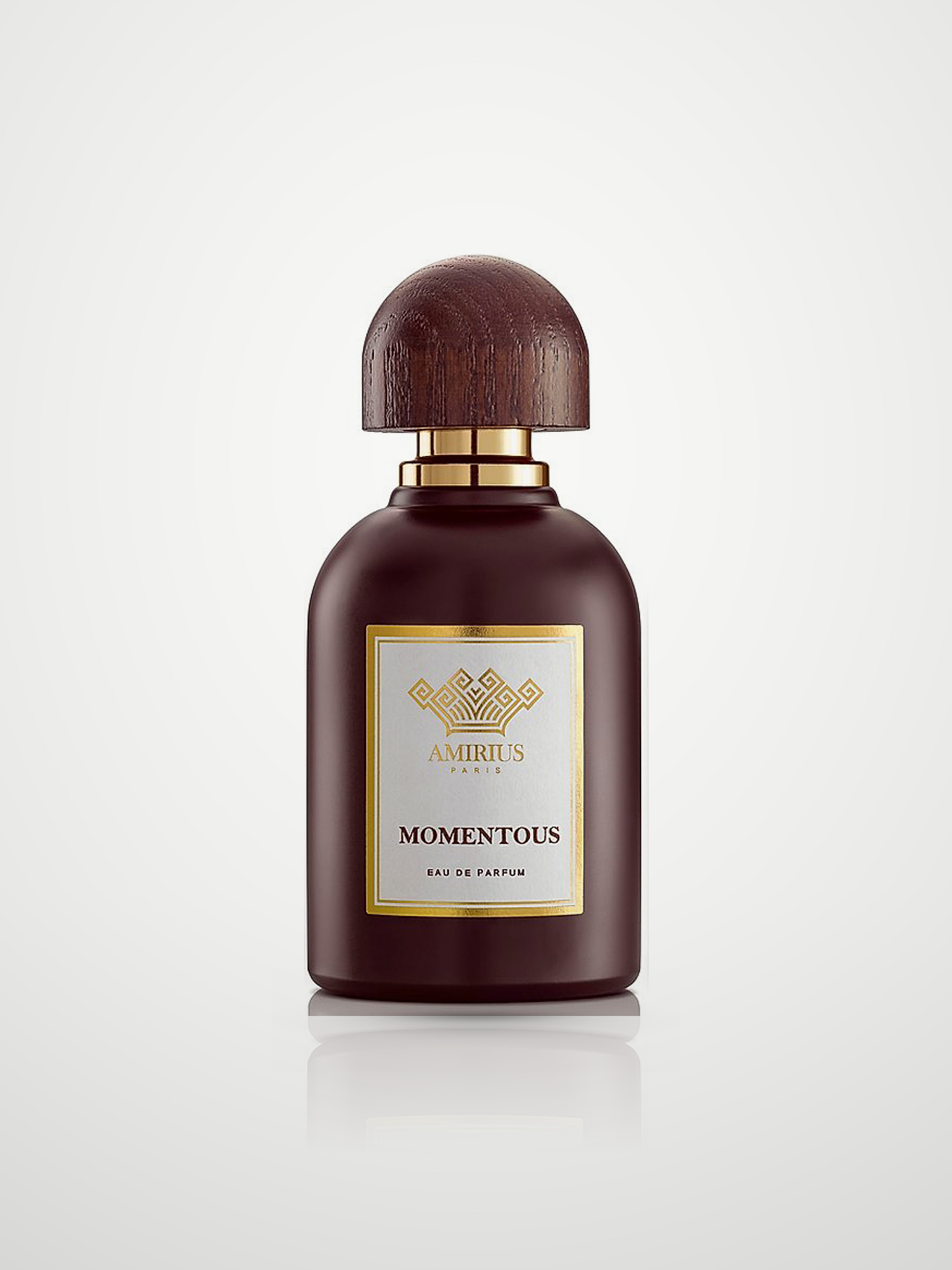 Парфюмерная вода Amirius Momentous Eau de Parfum унисекс 75 мл Amirius
