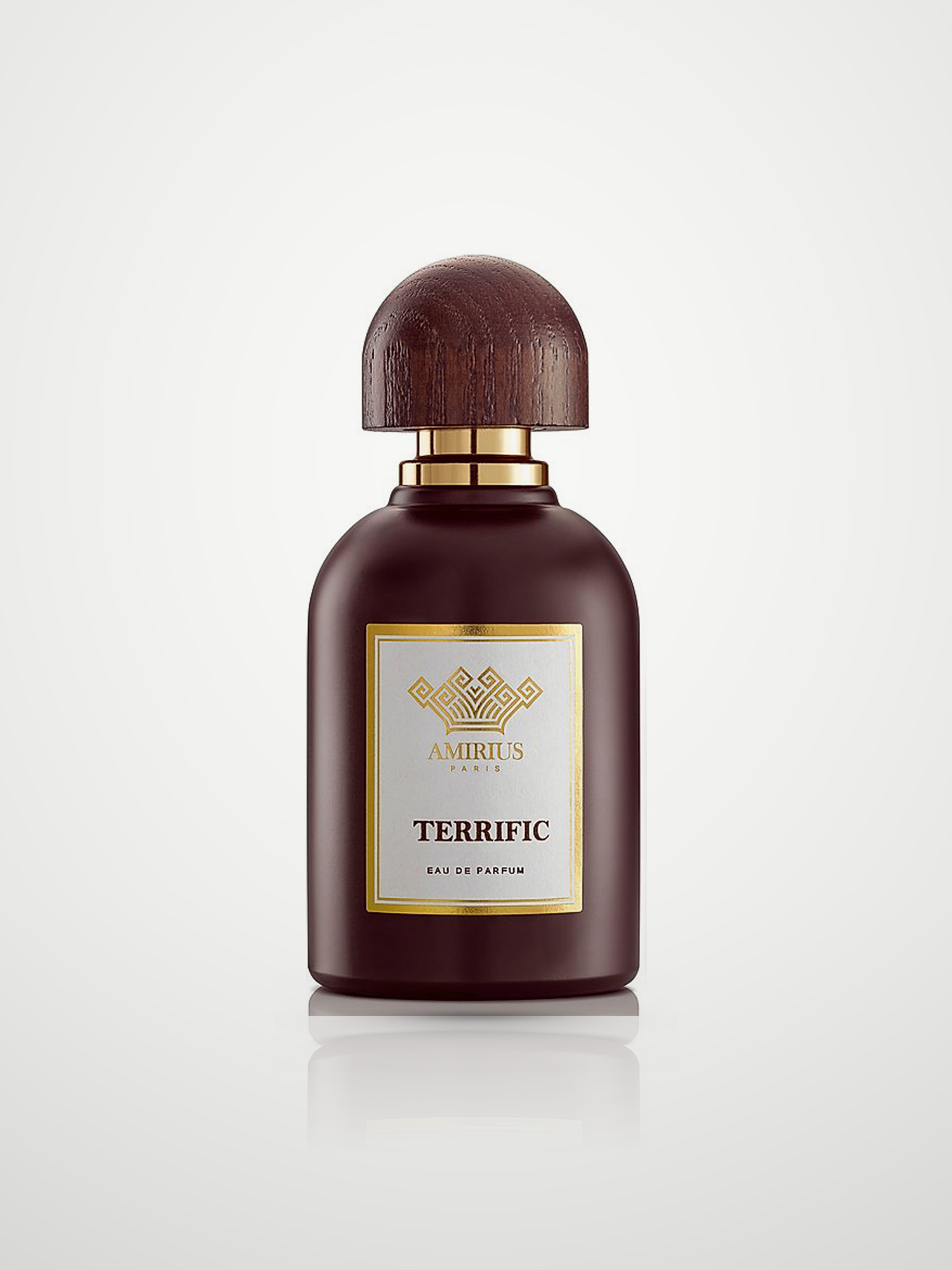 Парфюмерная вода Amirius Terrific Eau de Parfum унисекс 75 мл Amirius
