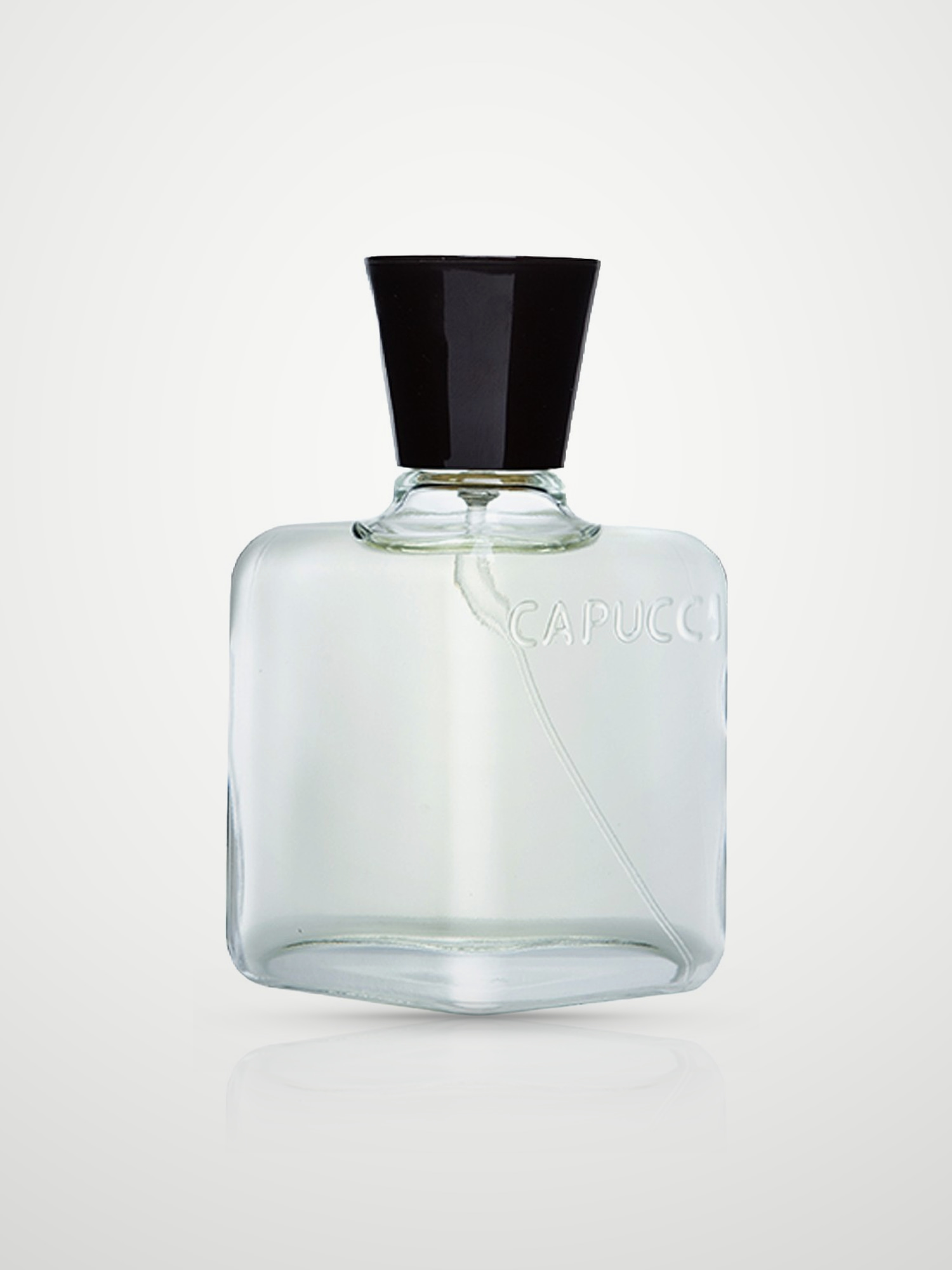 Туалетная вода Roberto Capucci Evento Uomo Eau de Toilette мужская 100 мл ROBERTO CAPUCCI