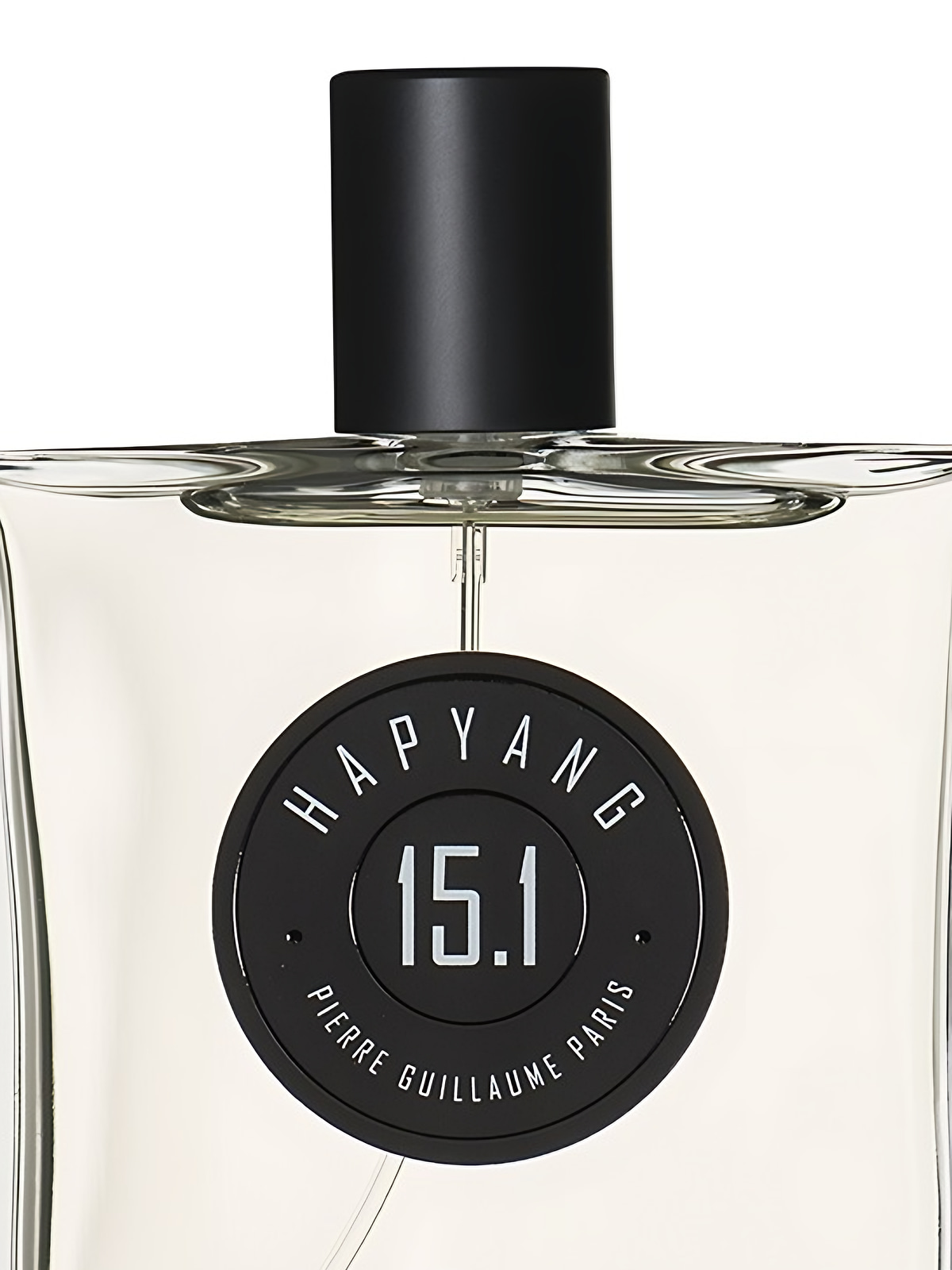 Парфюмерная вода Pierre Guillaume Paris Hapyang 15.1 Eau de Parfum женская 100 мл фото 2