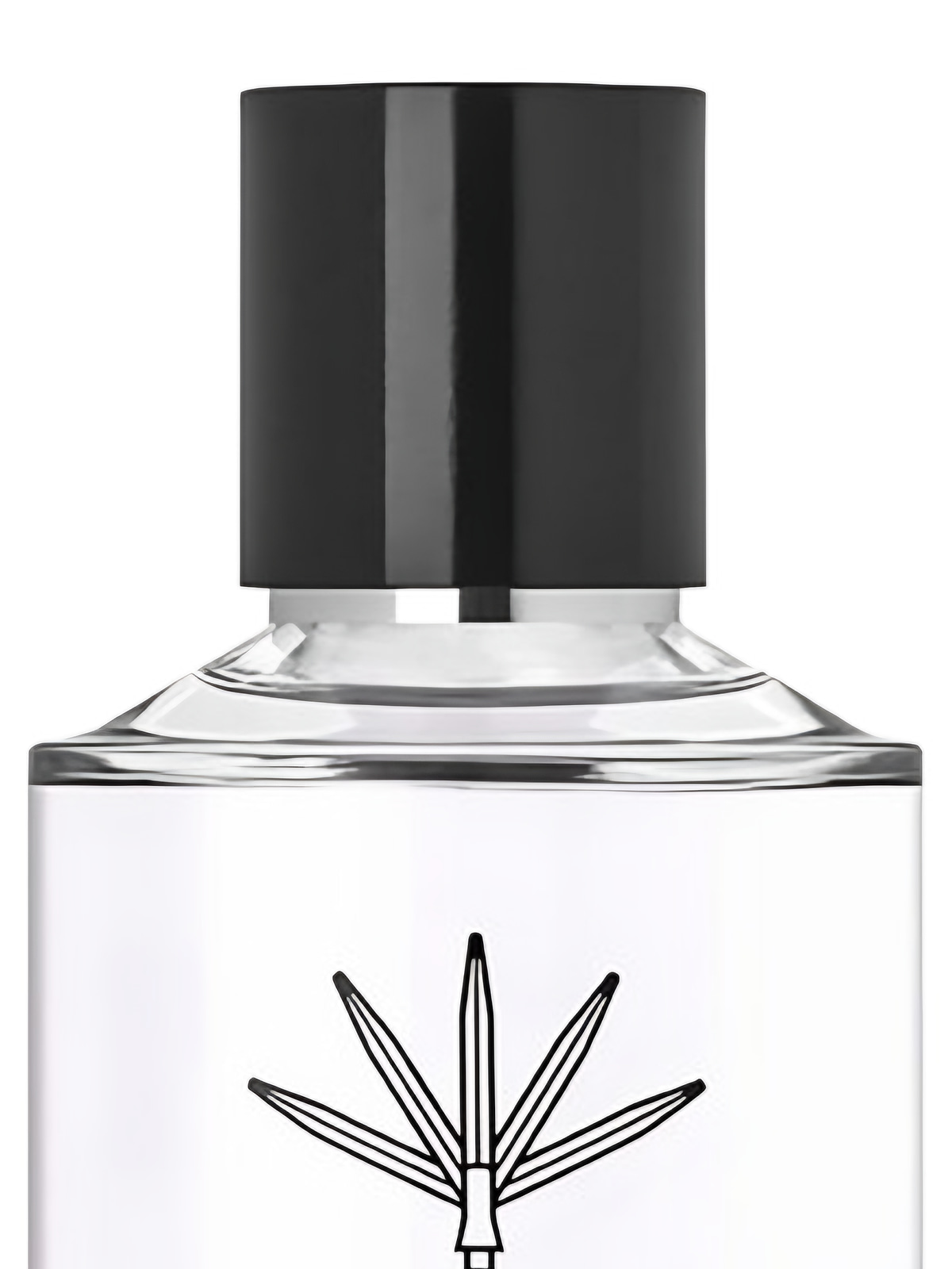 Парфюмерная вода Parle Moi de Parfum Haute Provence 89 Eau de Parfum унисекс 100 мл фото 3