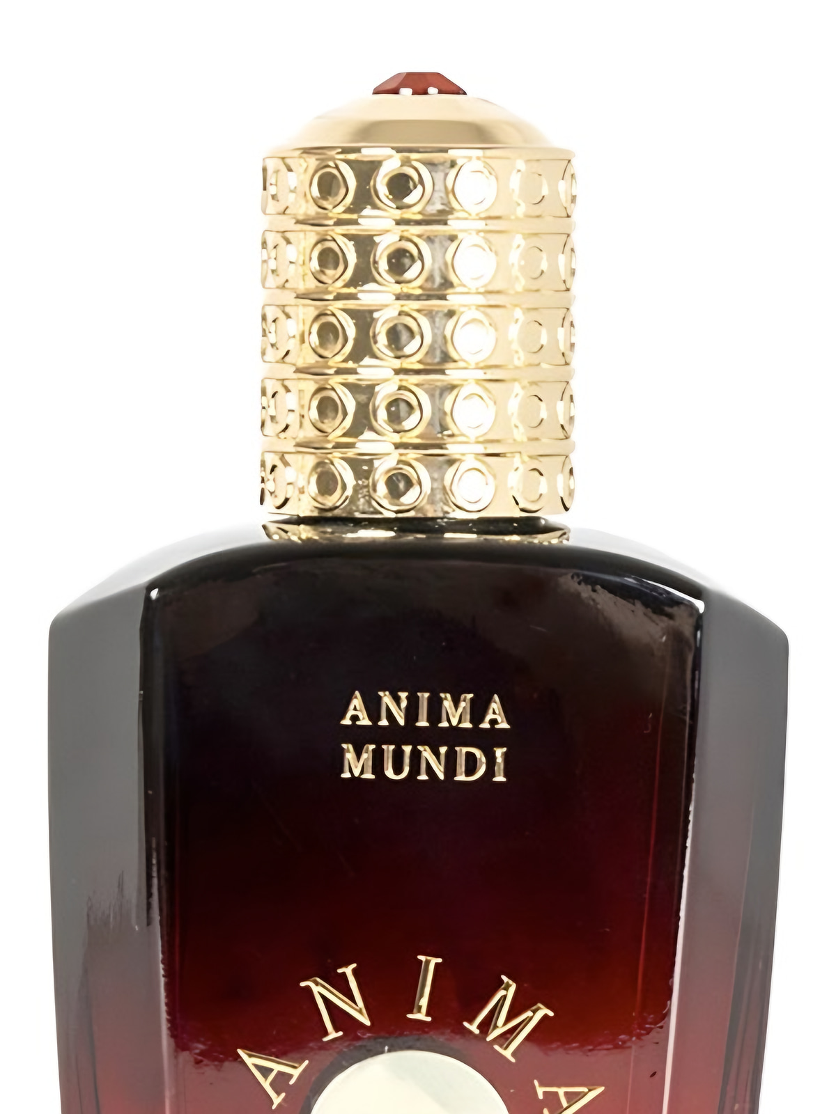 Духи Anima Mundi Lhasa Extrait de Parfum унисекс 75 мл, свежий пряный аромат фото 3