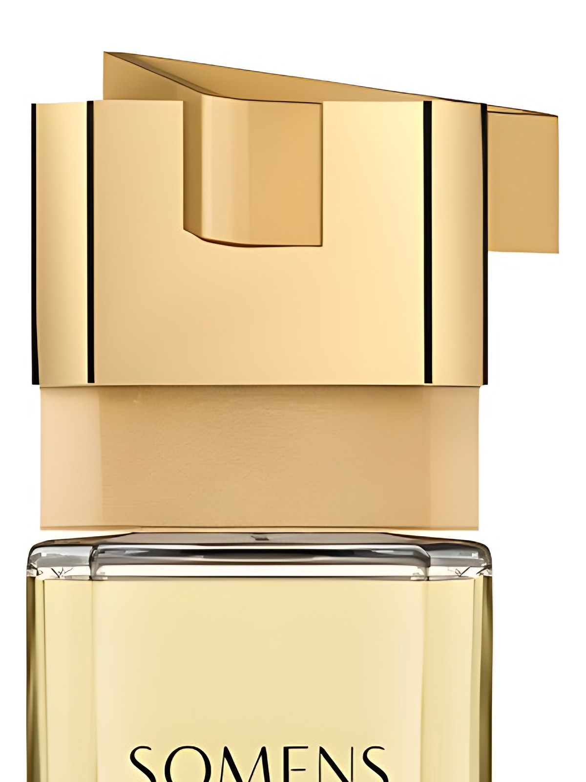 Парфюмерная вода Somens Arena Eau de Parfum унисекс 100 мл, фруктовый свежий аромат фото 3
