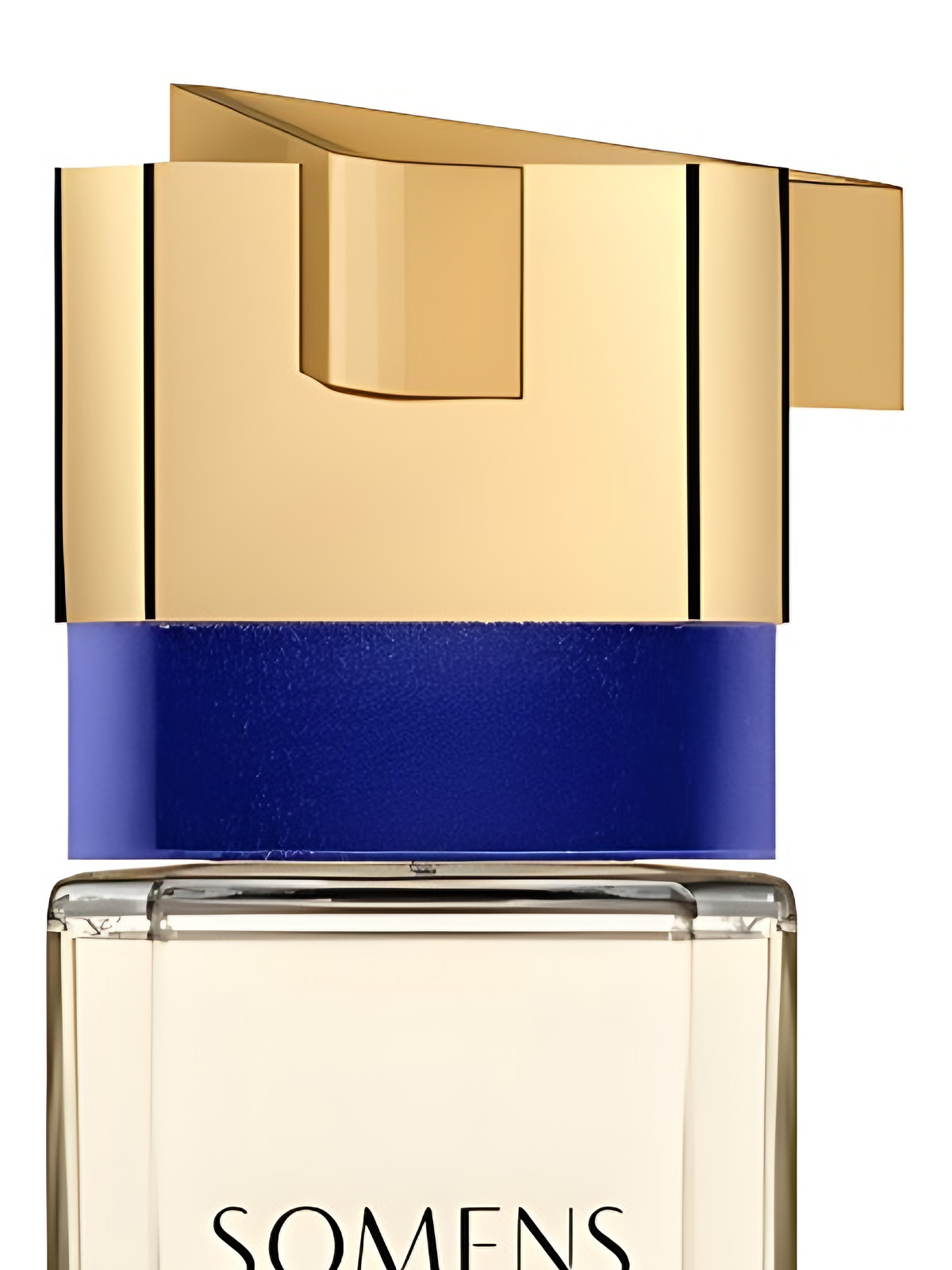 Парфюмерная вода Somens Aria Eau de Parfum унисекс 100 мл, цветочный пряный аромат фото 3