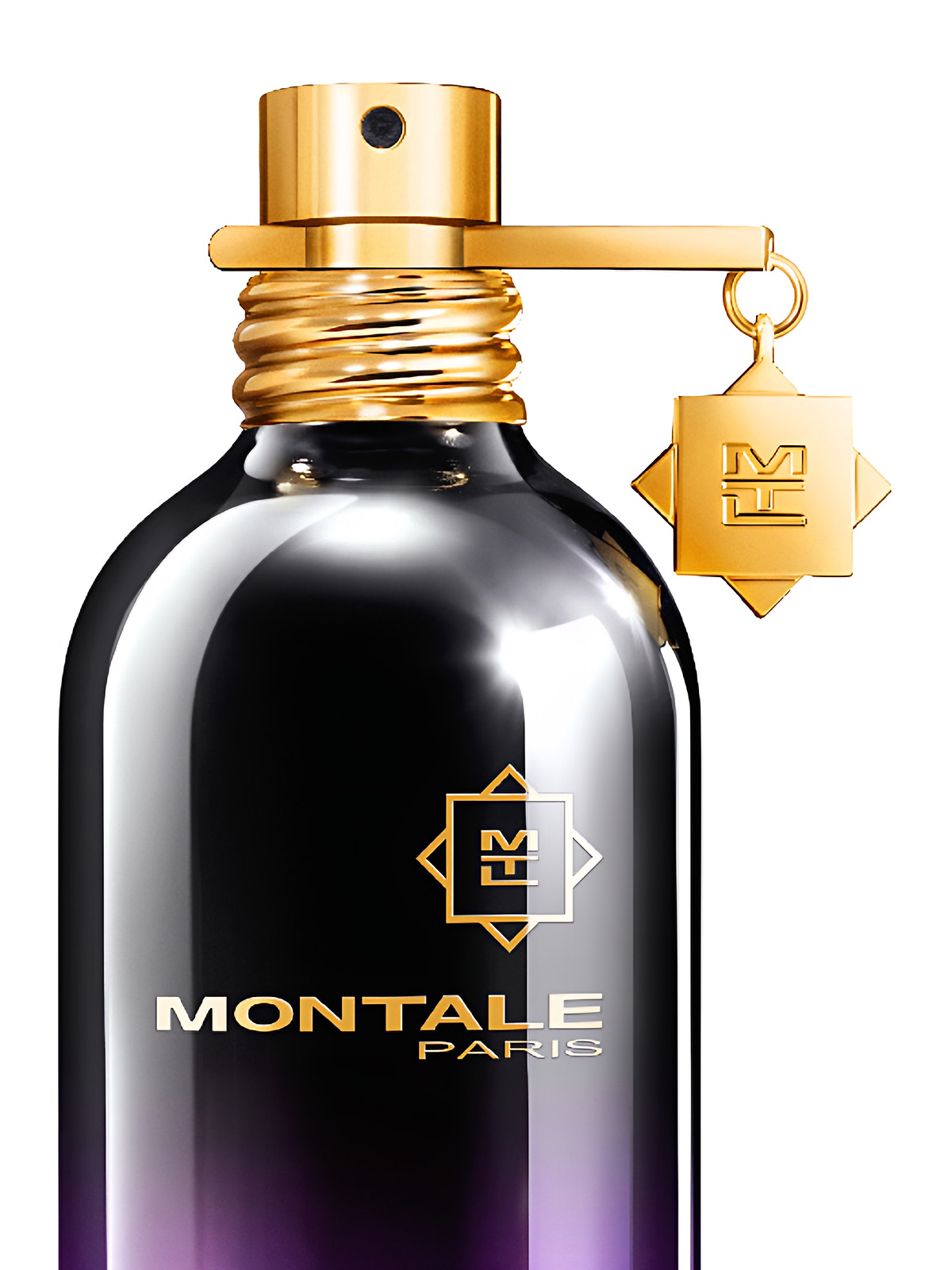 Парфюмерная вода Montale Dark Vanilla Eau de Parfum унисекс 100 мл фото 3