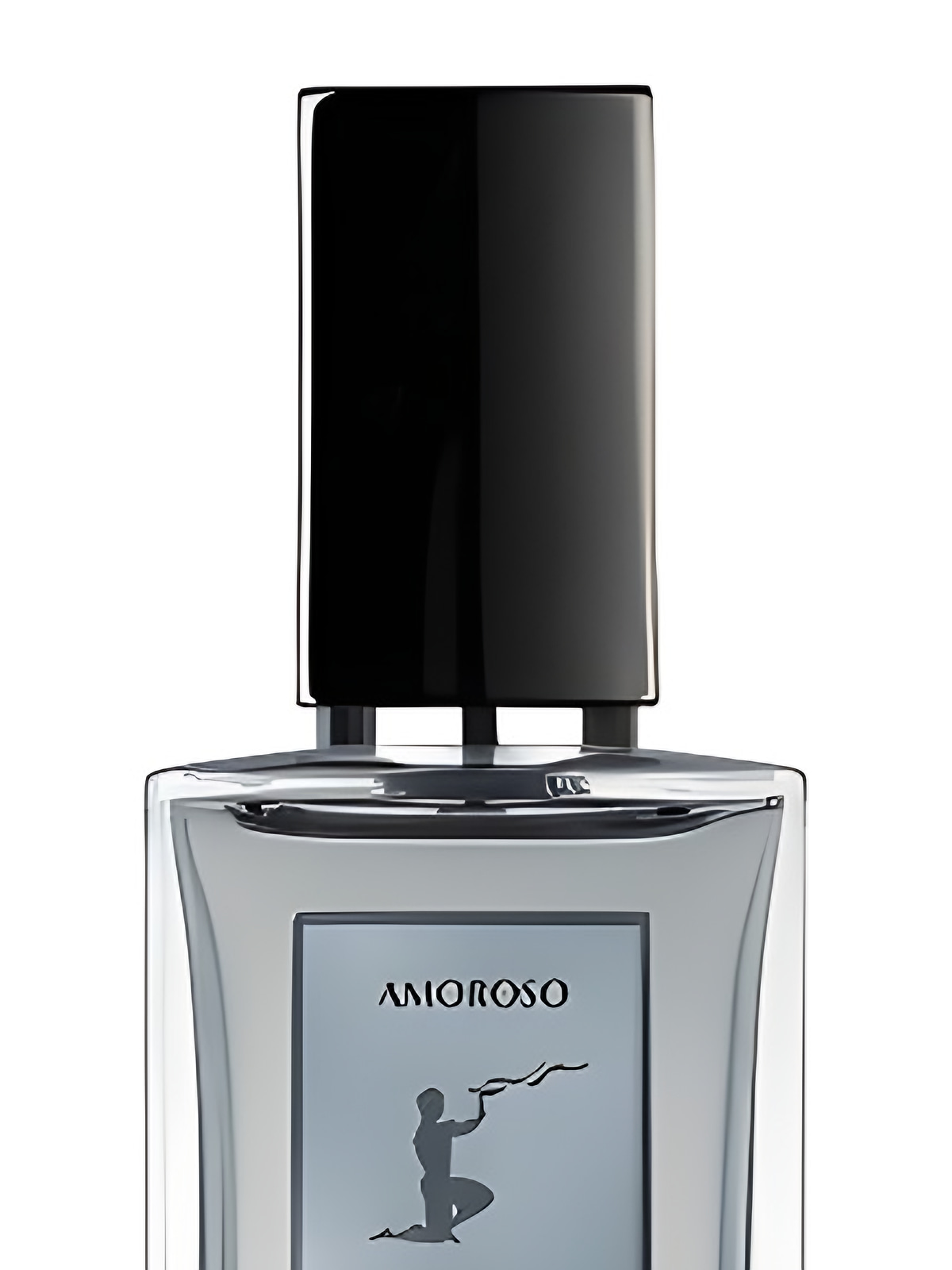 Парфюмерная вода Burdin Amoroso Eau de Parfum мужская 30 мл, фруктовый вуди аромат фото 2