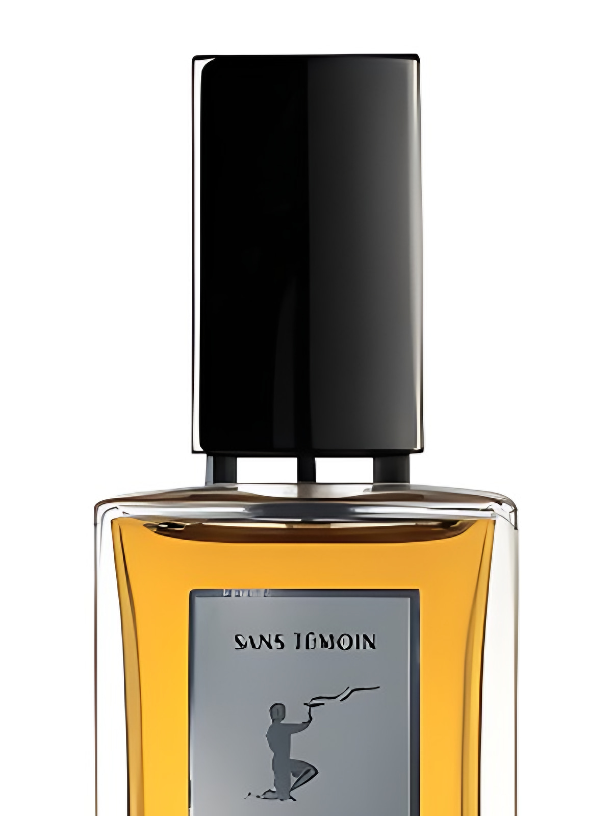 Парфюмерная вода Burdin Sans Temoin Eau de Parfum мужская 100 мл фото 2
