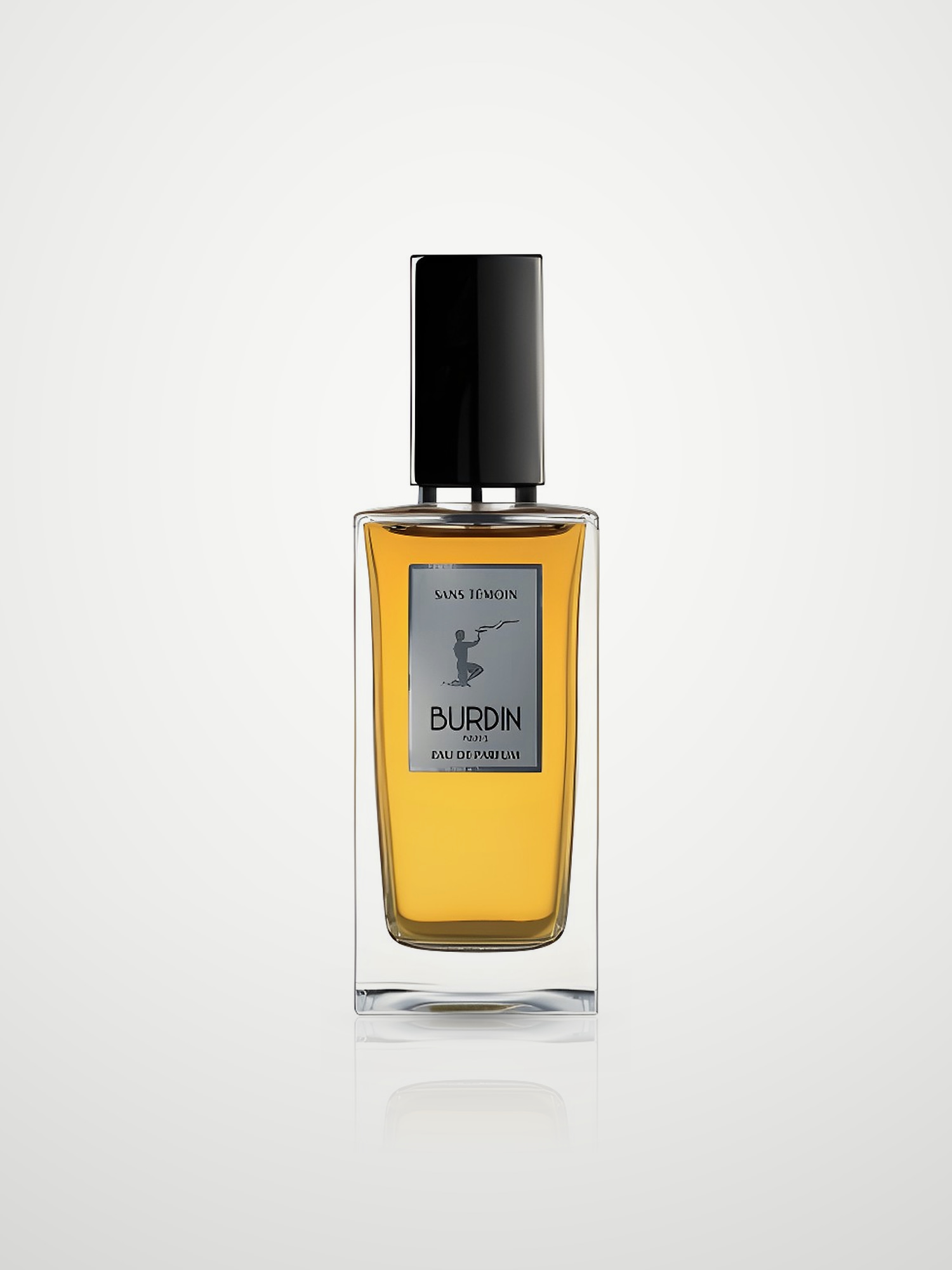 Парфюмерная вода Burdin Sans Temoin Eau de Parfum мужская 100 мл Burdin