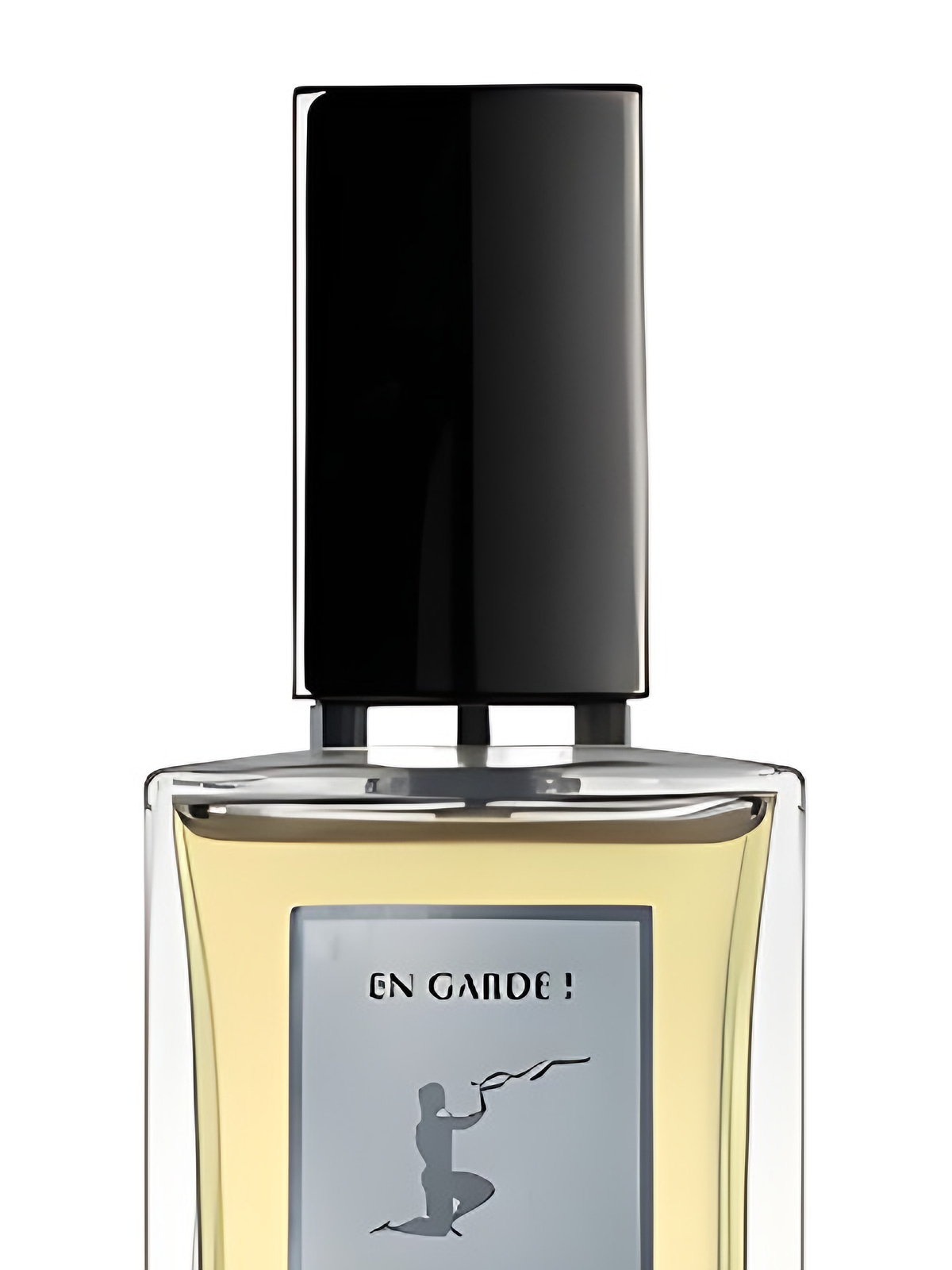 Парфюмерная вода Burdin En Garde! Eau de Parfum мужская 100 мл фото 3