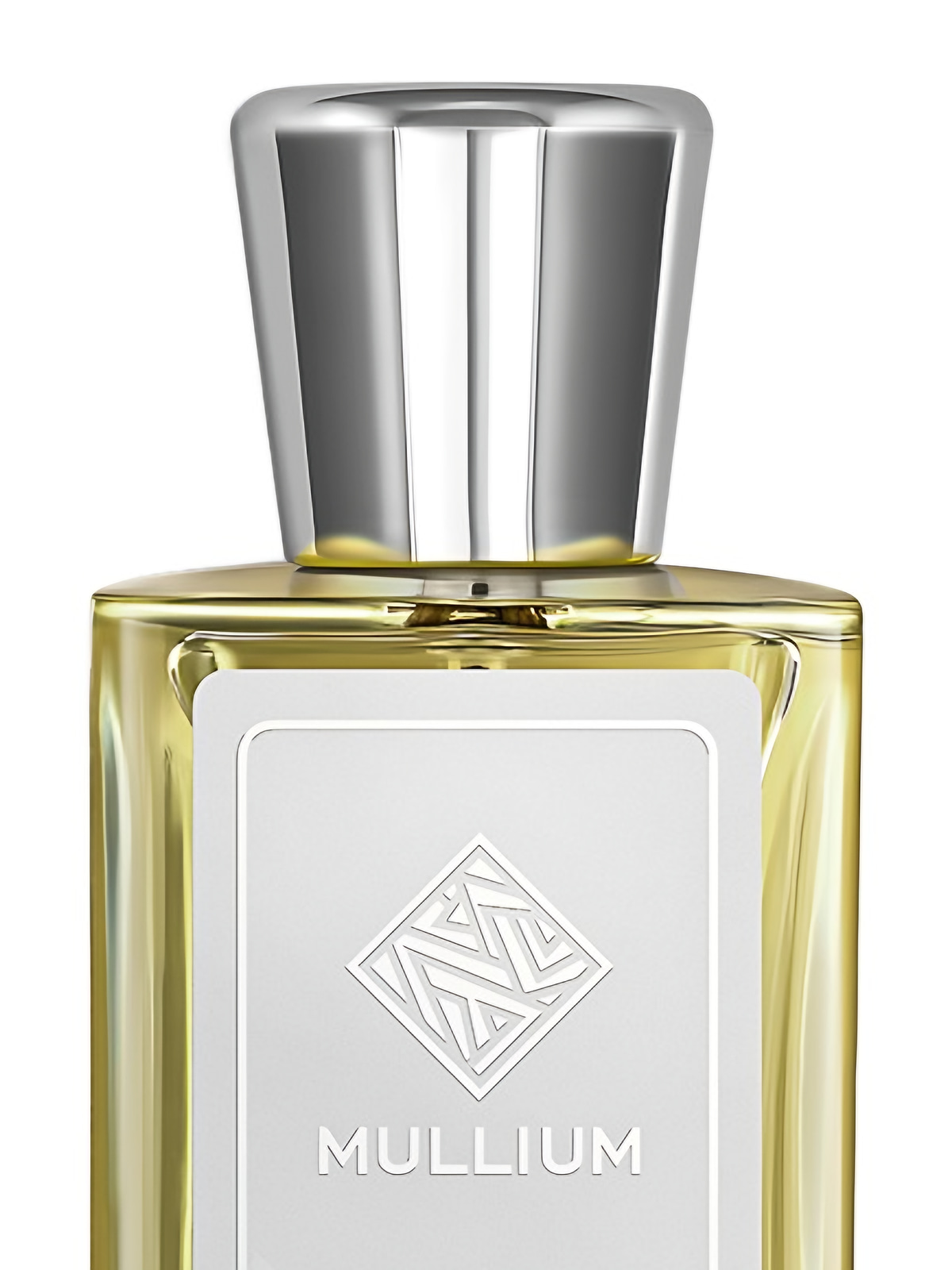 Парфюмерная вода Mullium intrigue Eau de Parfum женская 100 мл фото 2