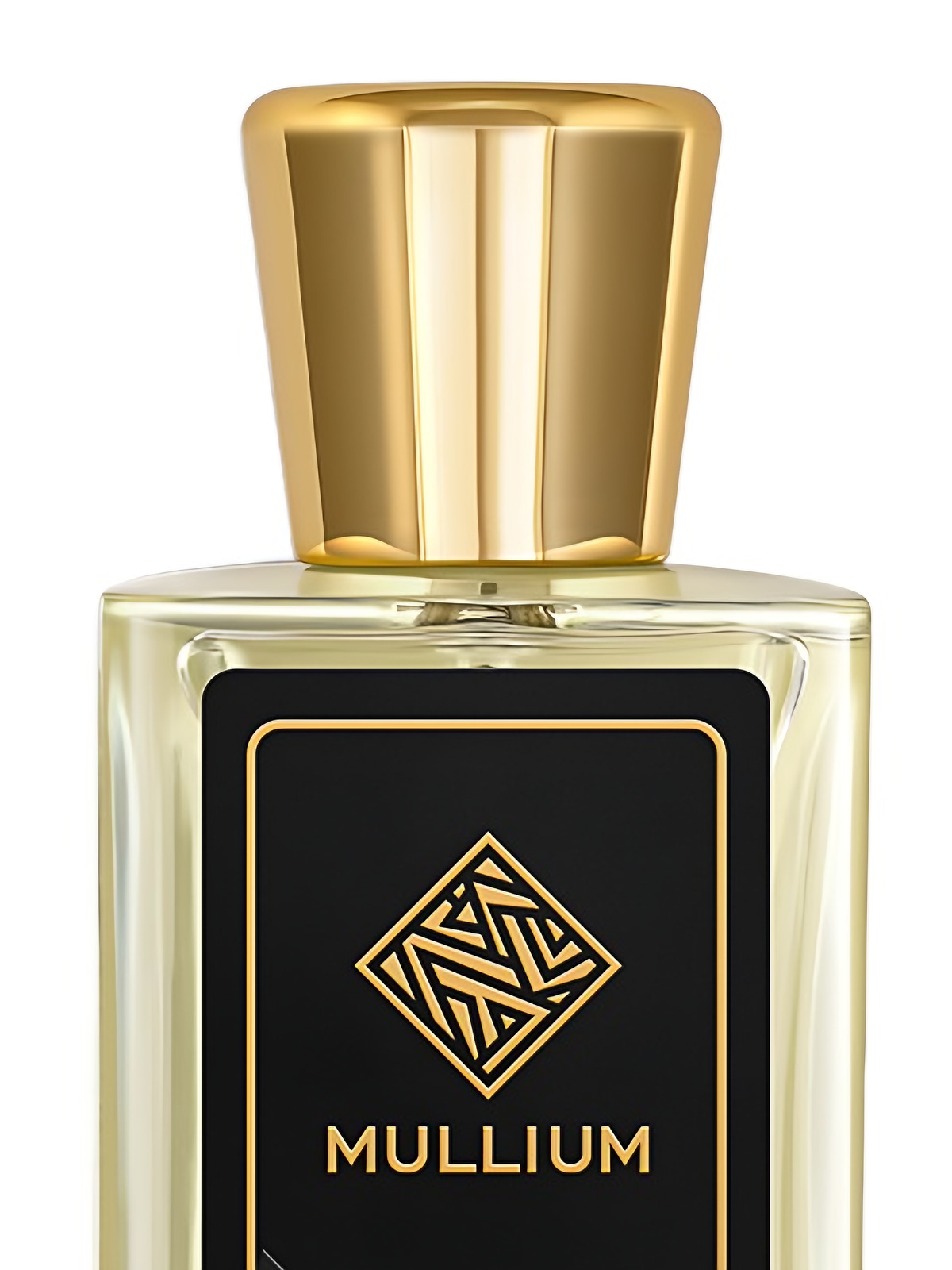 Парфюмерная вода Mullium everest Eau de Parfum мужская 100 мл фото 3