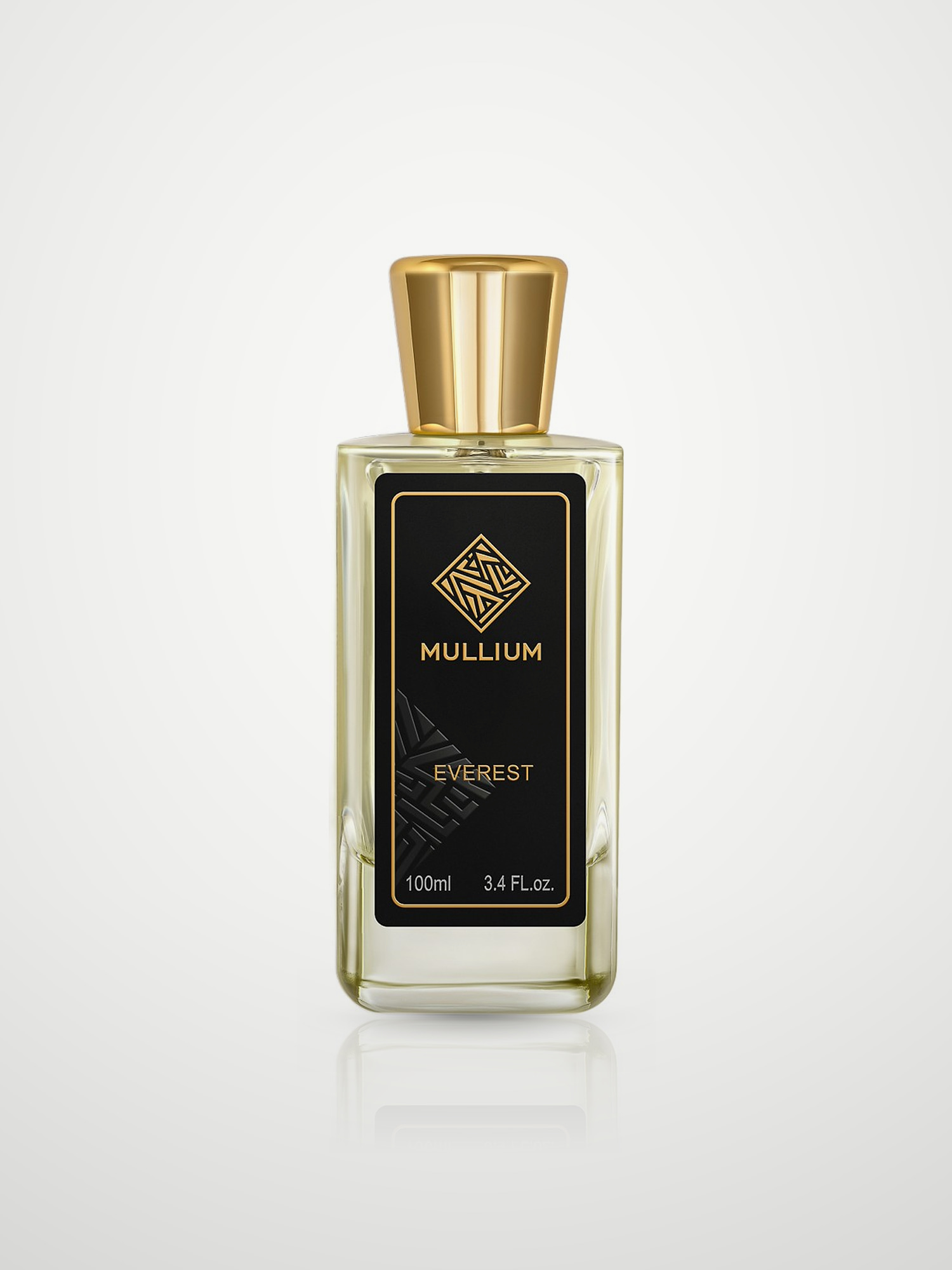 Парфюмерная вода Mullium everest Eau de Parfum мужская 100 мл MULLIUM