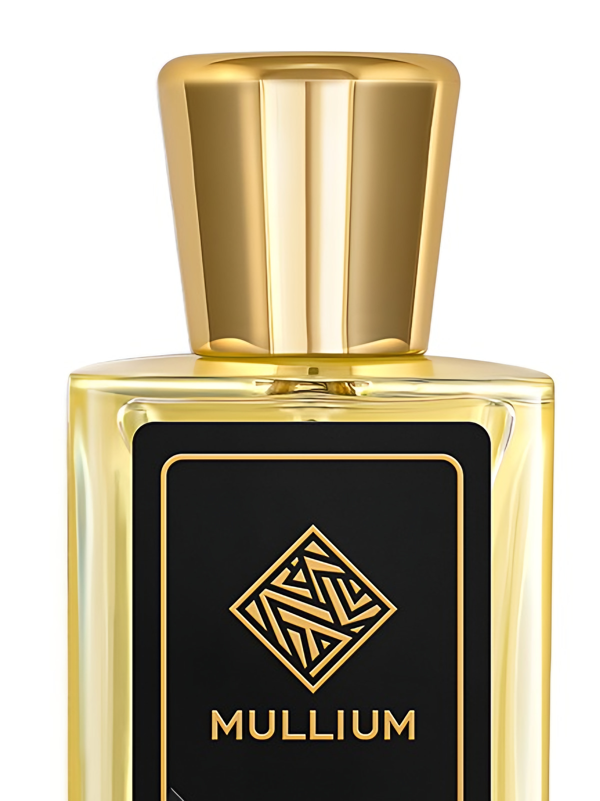 Парфюмерная вода Mullium men's club Eau de Parfum мужская 100 мл фото 3