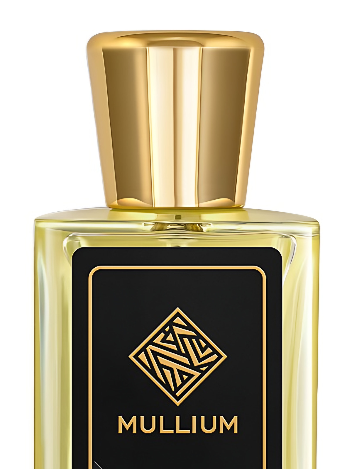 Парфюмерная вода Mullium passion Eau de Parfum женская 100 мл фото 3