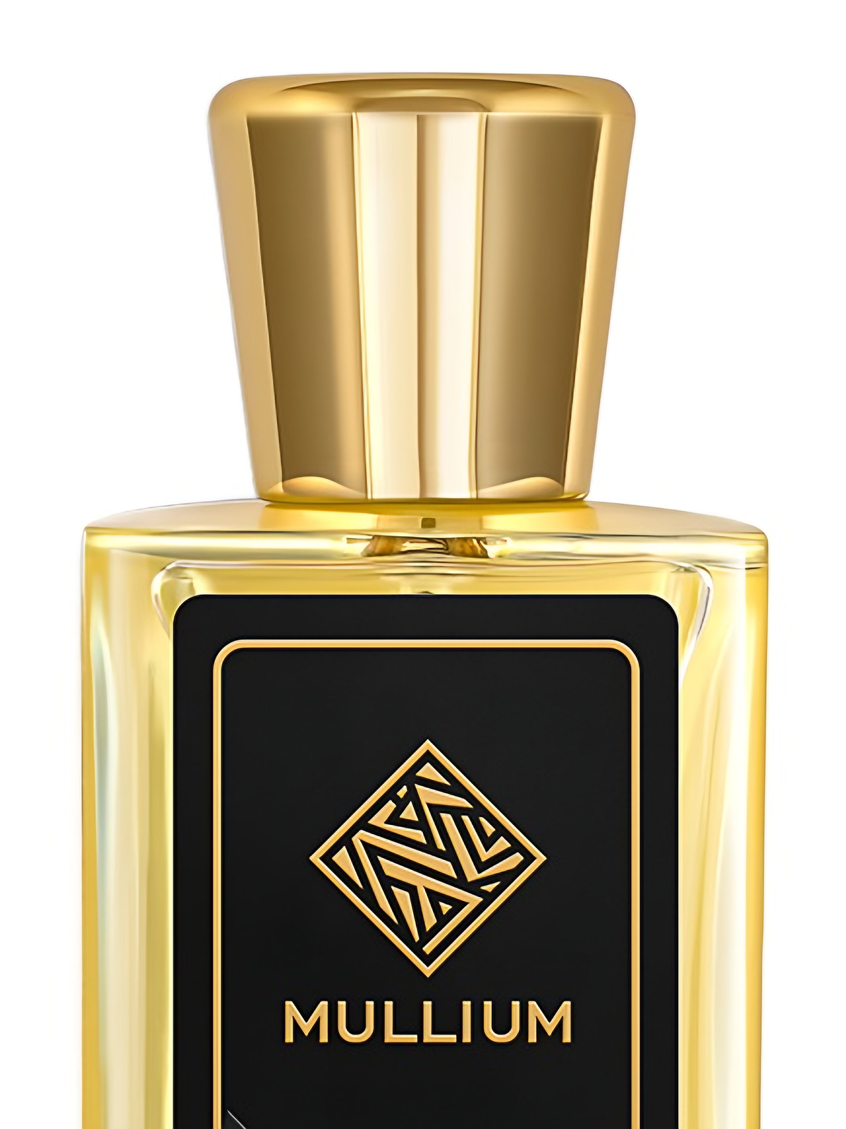 Парфюмерная вода Mullium sophistic Eau de Parfum женская 100 мл фото 3