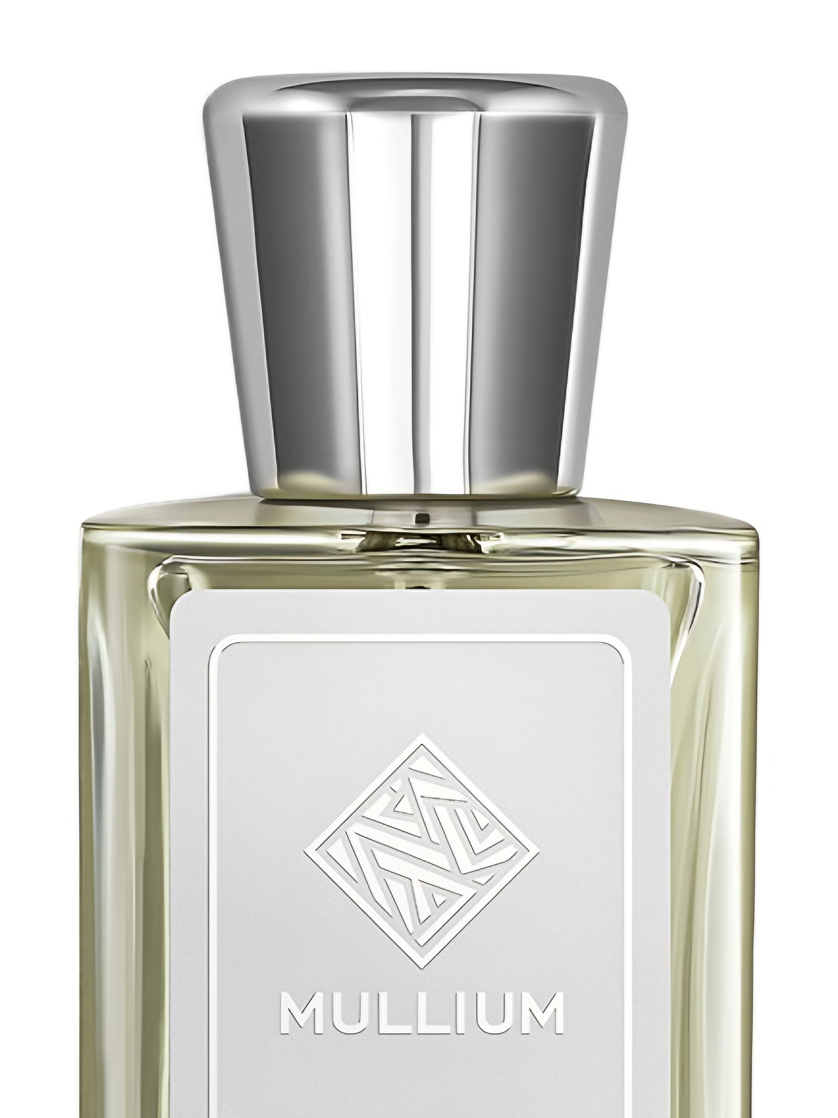 Парфюмерная вода Mullium more slowly Eau de Parfum женская 100 мл фото 3