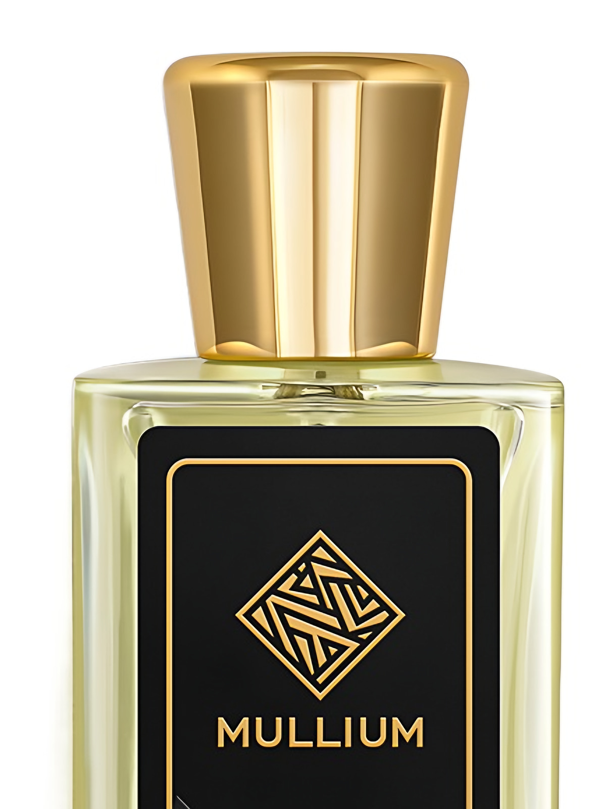 Парфюмерная вода Mullium his majesty Eau de Parfum мужская 100 мл фото 3