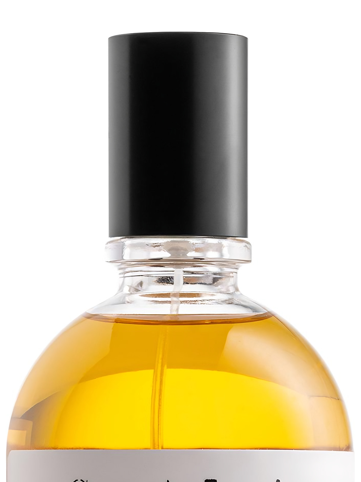 Парфюмерная вода Scentologia Forest.Blends. Eau de Parfum унисекс 100 мл фото 3