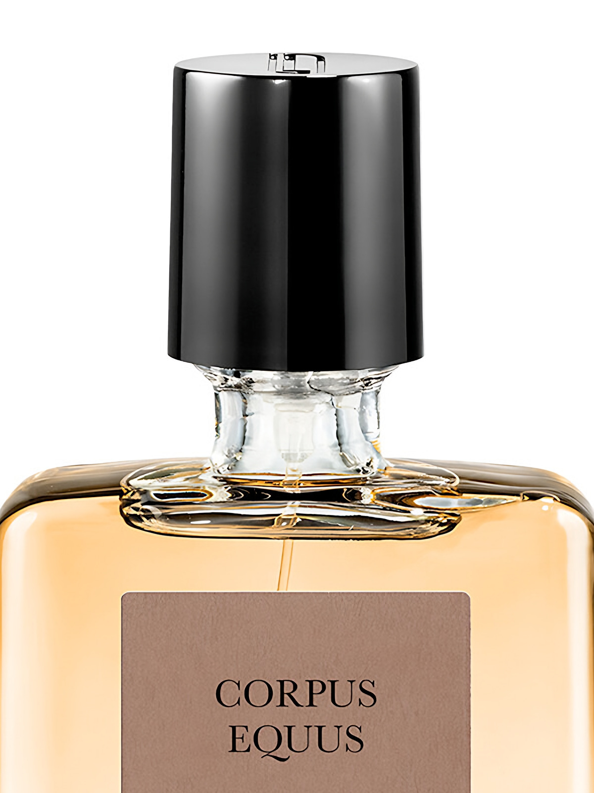Парфюмерная вода Naomi Goodsir Corpus Equus Eau de Parfum унисекс 50 мл фото 4