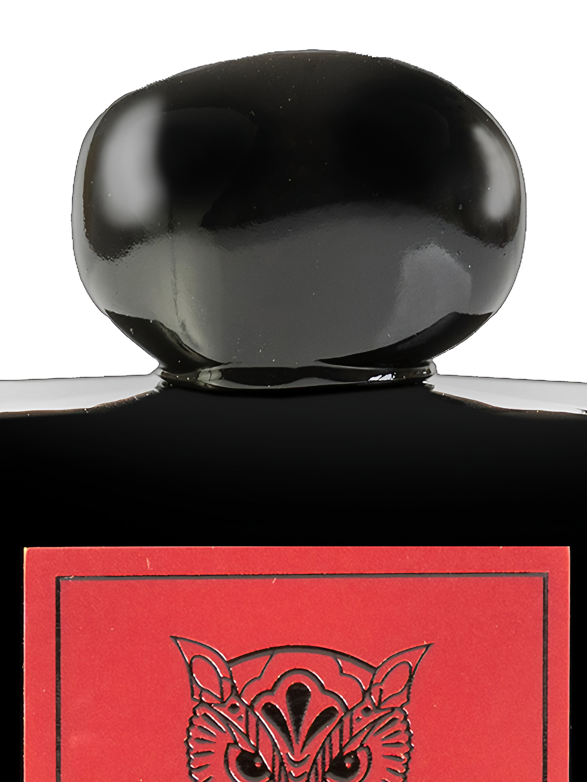Духи Lorenzo Pazzaglia Pax Extrait de Parfum унисекс 50 мл, фруктовый сладкий аромат фото 2