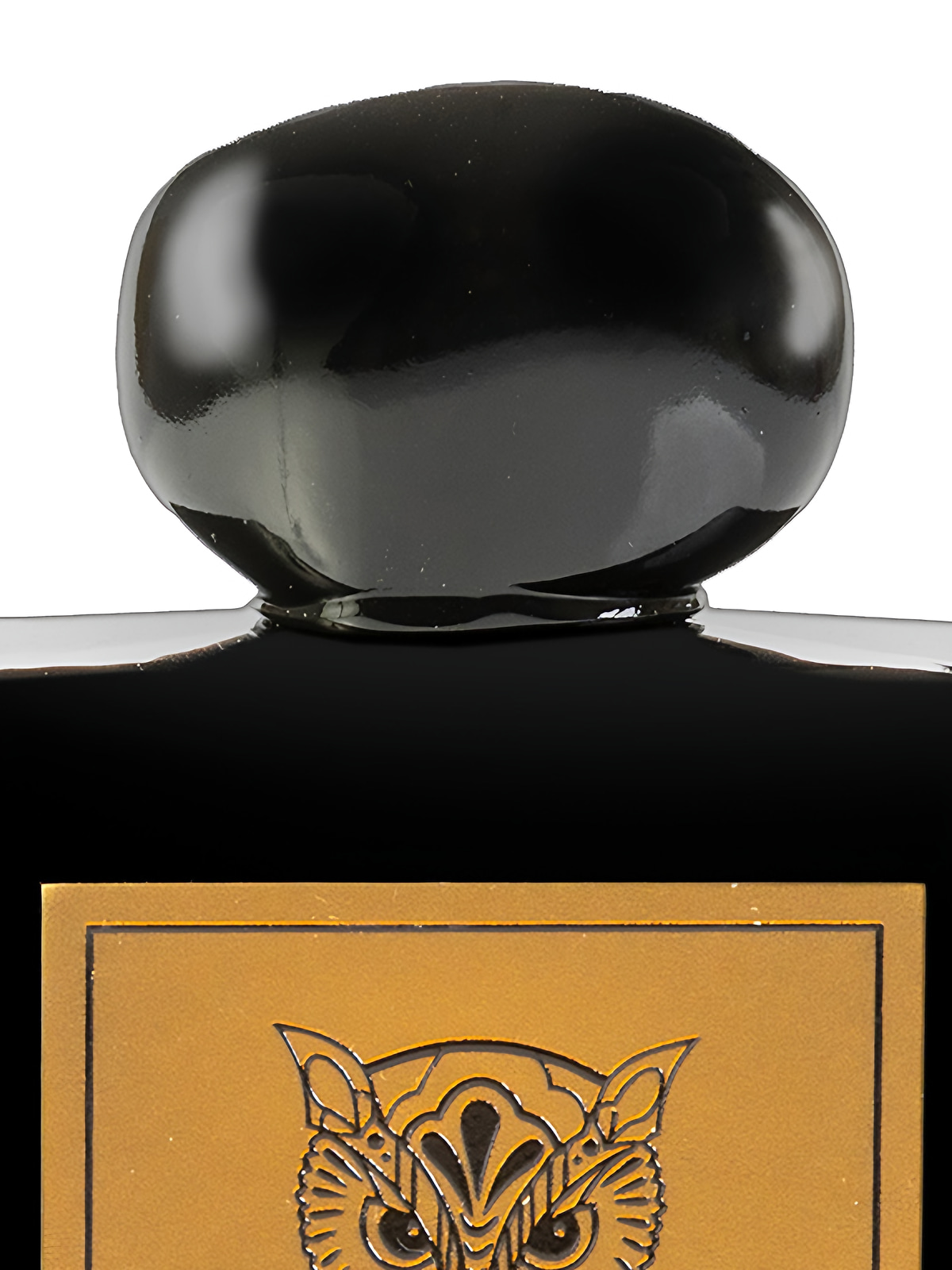 Духи Lorenzo Pazzaglia Carbonara Extrait de Parfum унисекс 50 мл фото 2