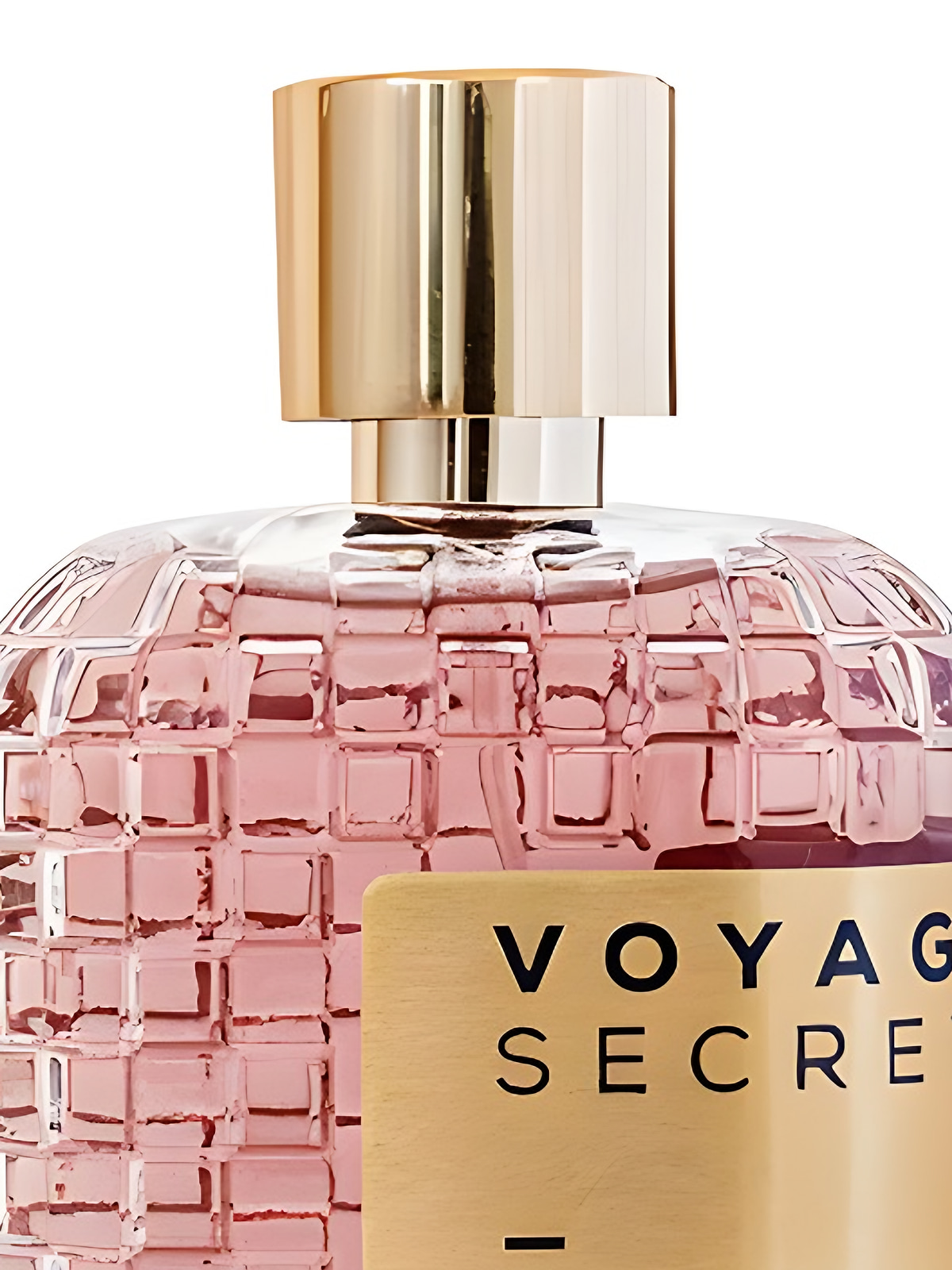 Парфюмерная вода LPDO Voyage Secret Eau de Parfum унисекс 100 мл фото 3