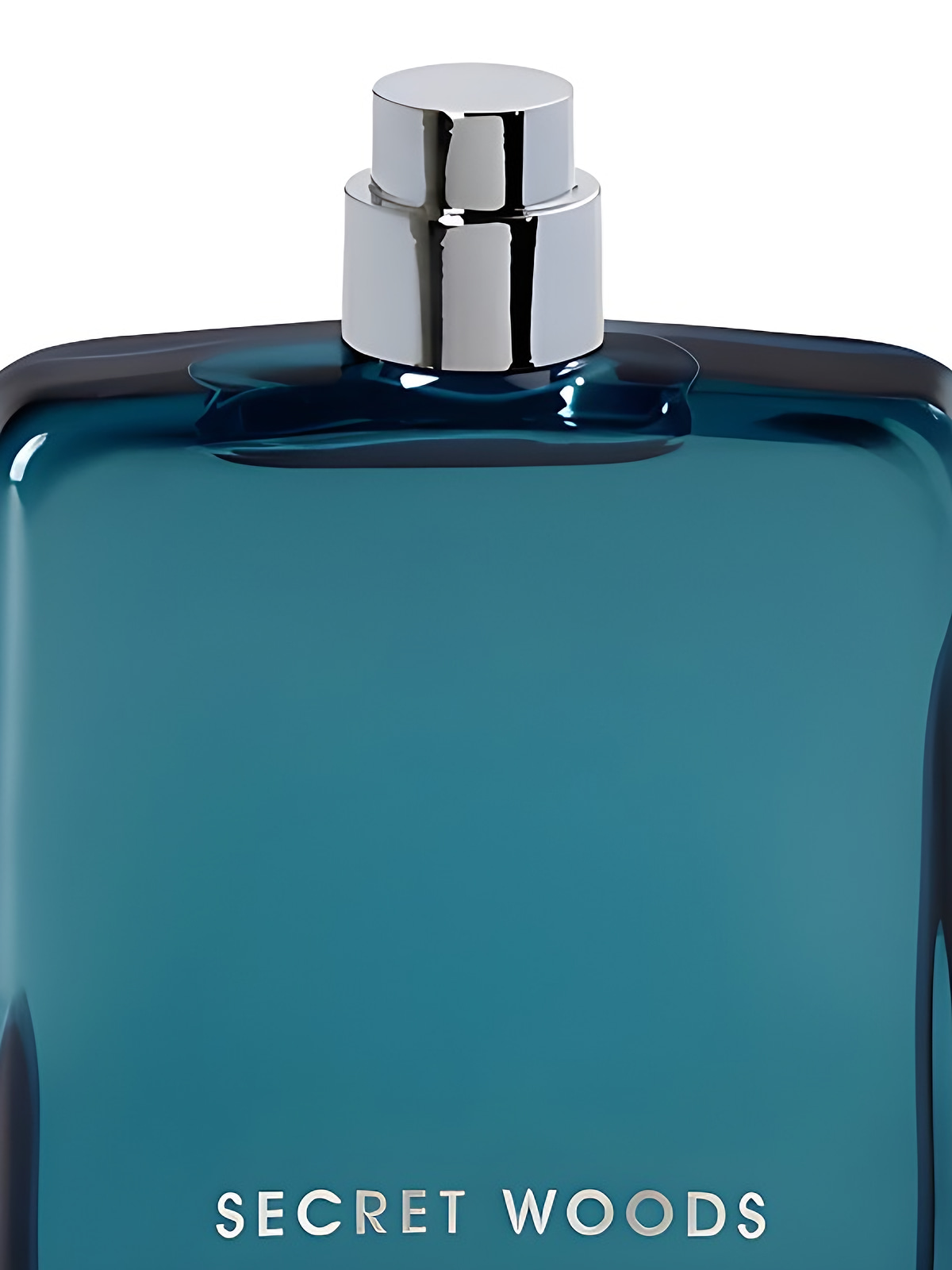 Парфюмерная вода CoSTUME NATIONAL Secret Woods Eau de Parfum мужская 100 мл фото 2