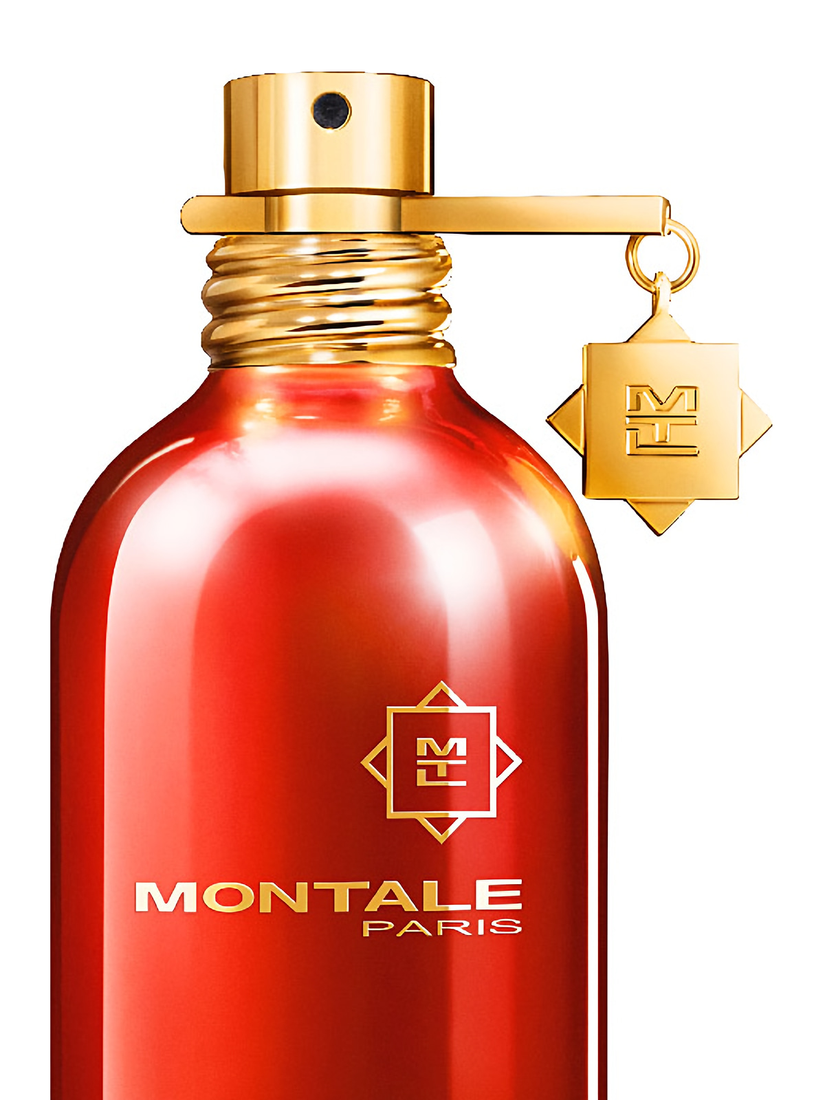 Парфюмерная вода Montale Wood On Fire Eau de Parfum унисекс 100 мл фото 3