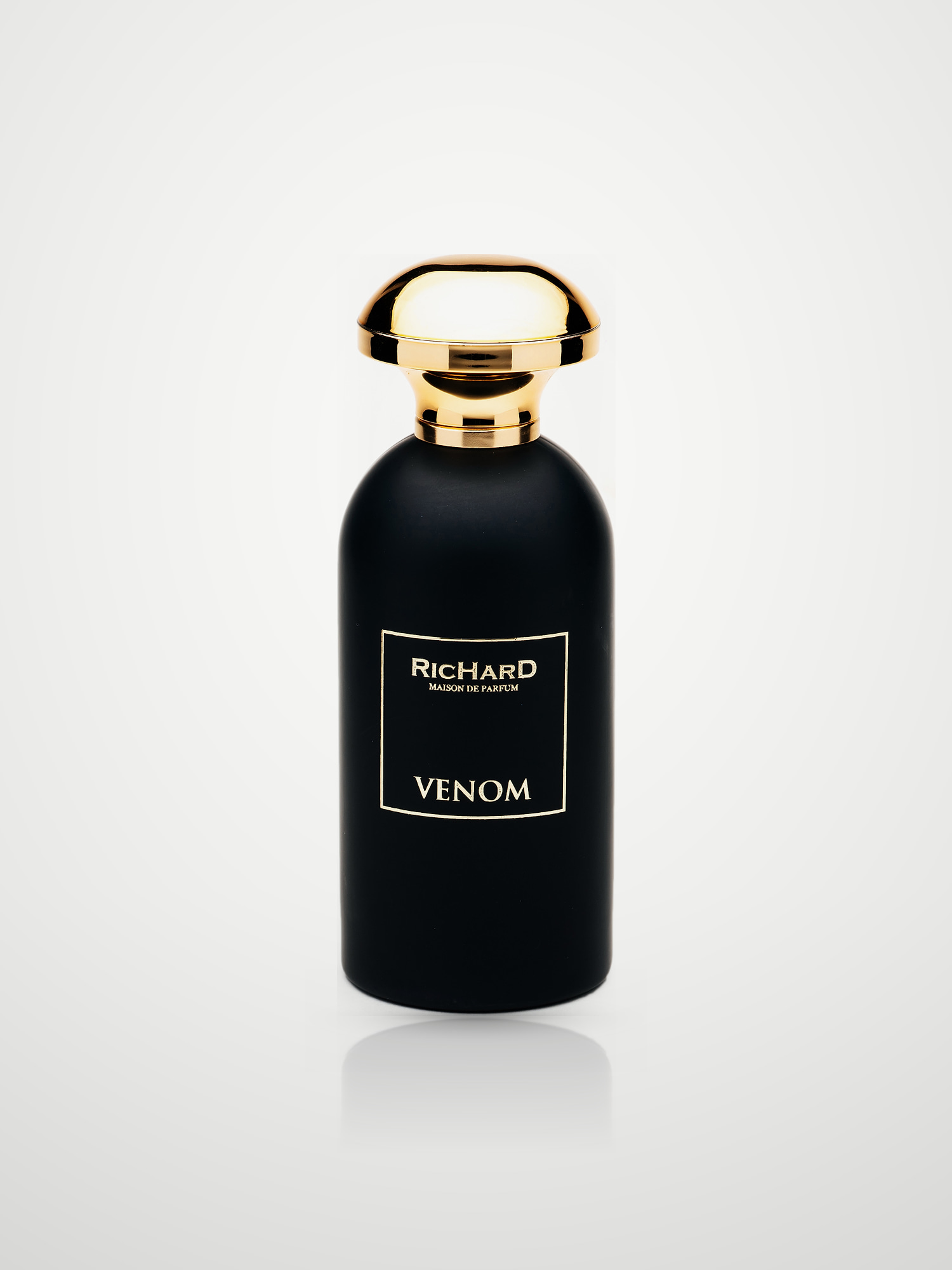 Парфюмерная вода Richard Venom Eau de Parfum унисекс 100 мл, фужерный восточный аромат RICHARD