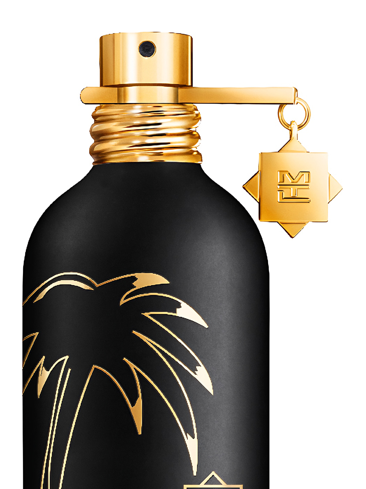 Парфюмерная вода Montale Aqua Palma Eau de Parfum унисекс 100 мл фото 3