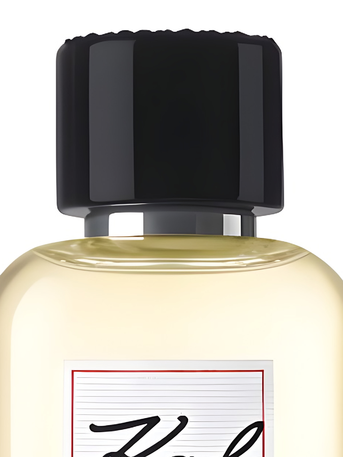 Парфюмерная вода Karl Lagerfeld Karl Rome Divino Amore Eau de Parfum женская 60 мл фото 2