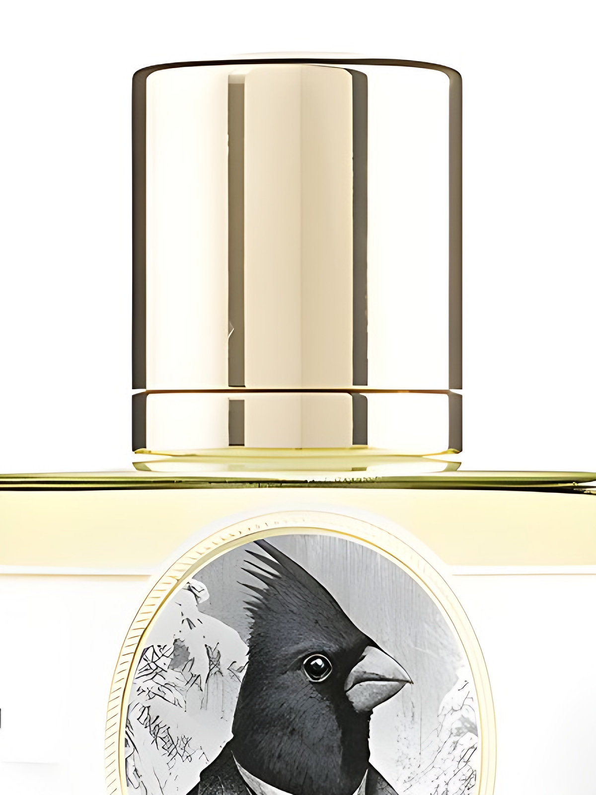 Духи Zoologist Perfumes Northern Cardinal Extrait de Parfum унисекс 60 мл фото 8