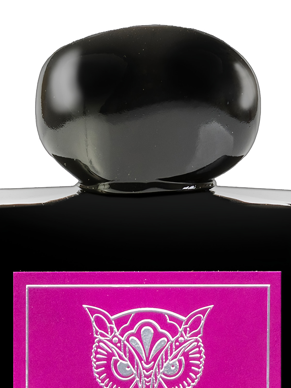 Духи Lorenzo Pazzaglia Passion Rose Extrait de Parfum унисекс 50 мл фото 3