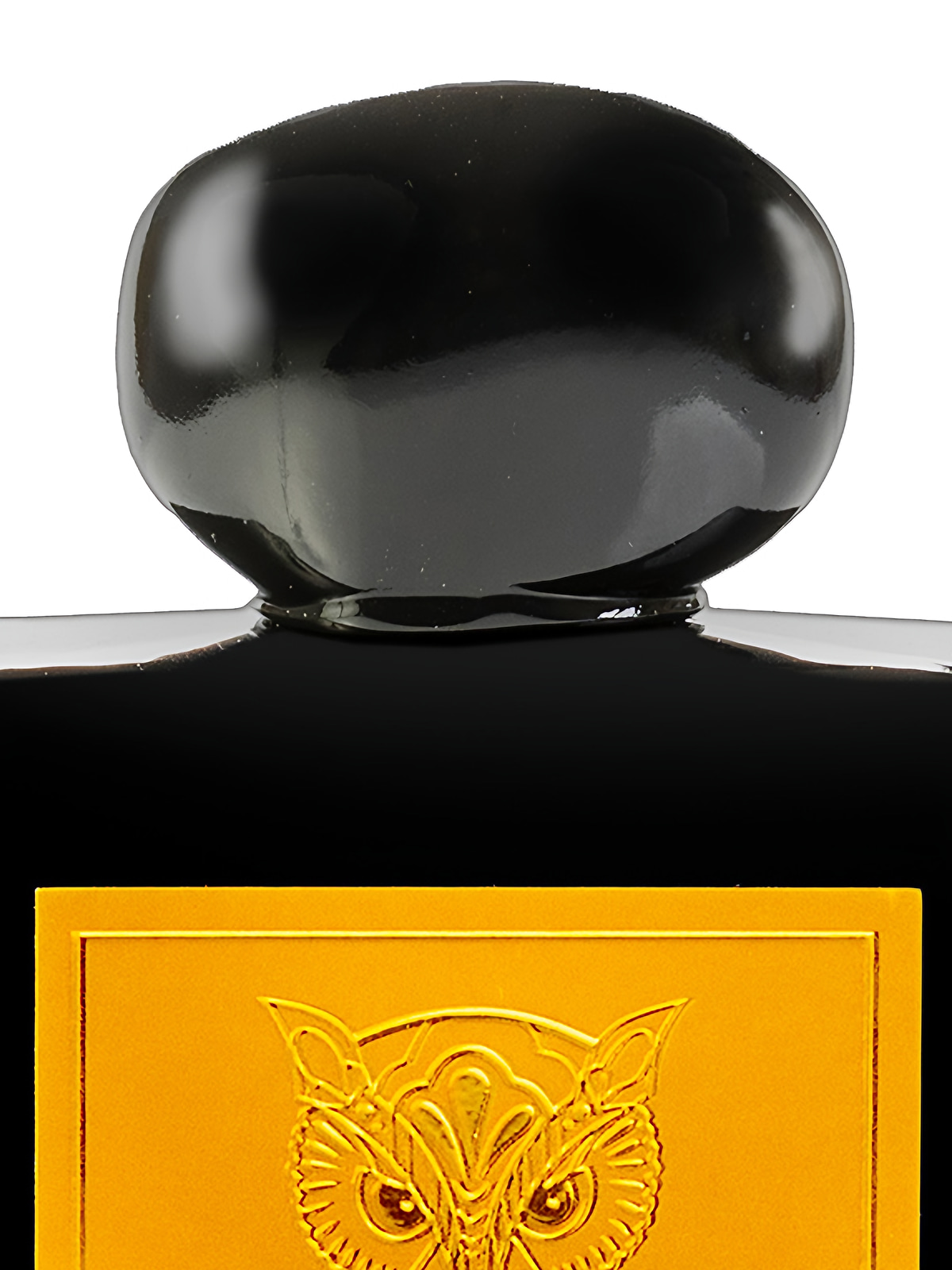 Духи Lorenzo Pazzaglia Van Exstasyx Extrait de Parfum унисекс 50 мл фото 3