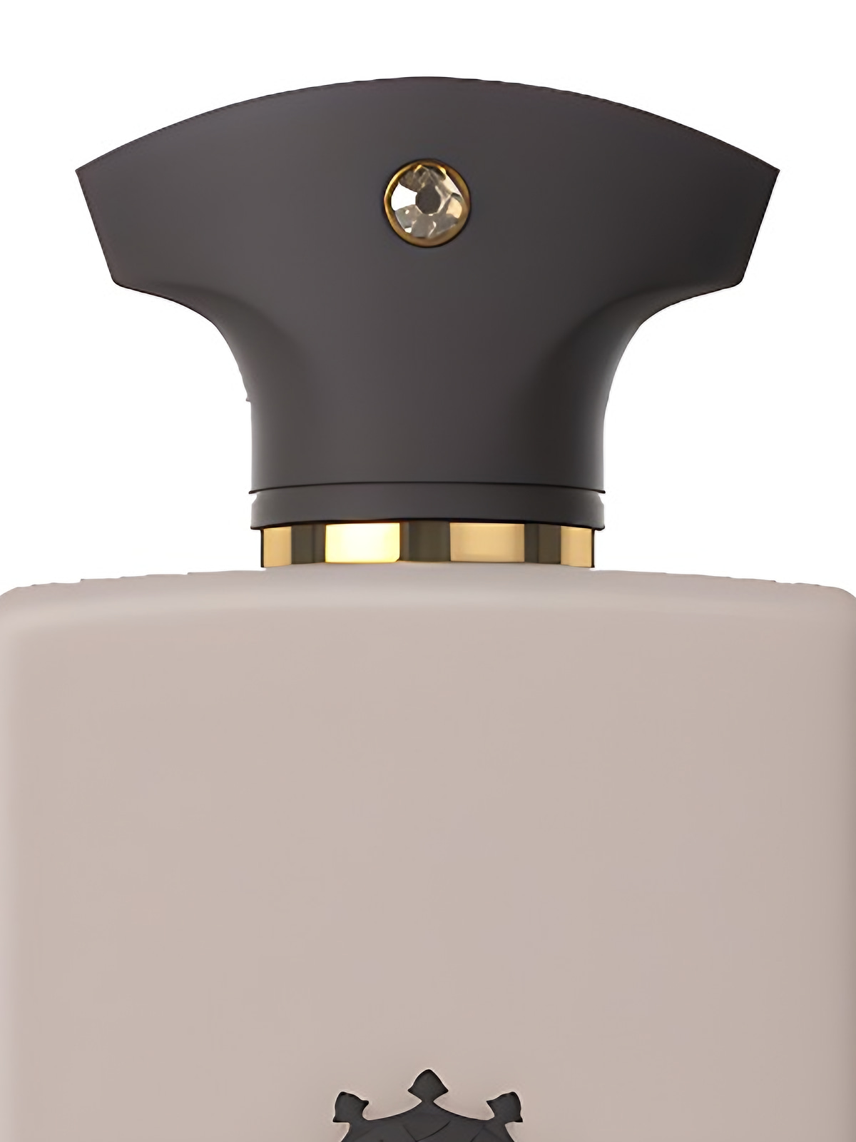 Парфюмерная вода Amouage Opus V – Woods Symphony Eau de Parfum унисекс 100 мл фото 3