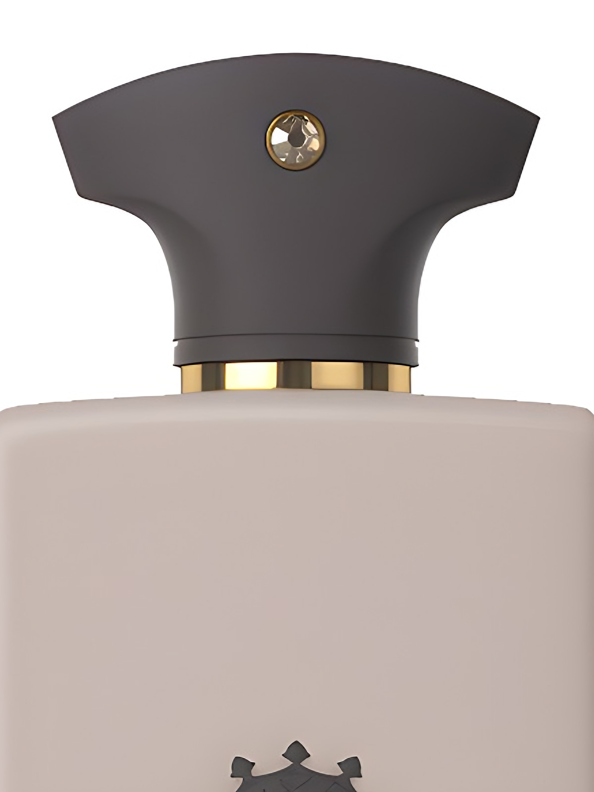 Парфюмерная вода Amouage Opus VII – Reckless Leather Eau de Parfum унисекс 100 мл фото 2