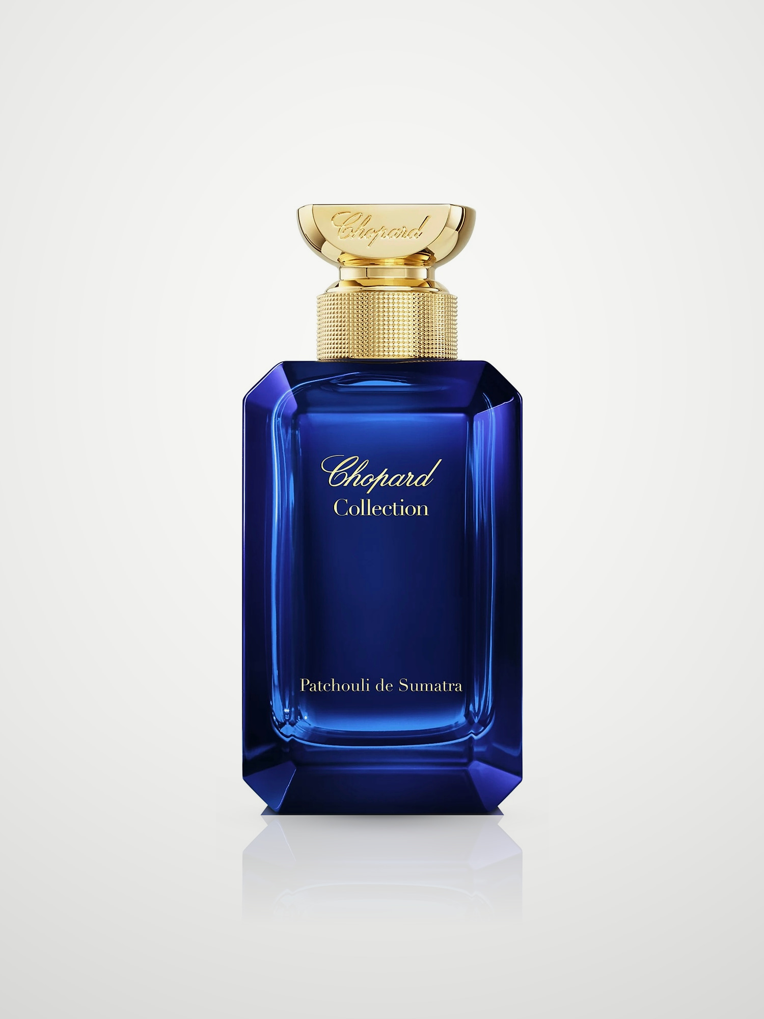 Парфюмерная вода Chopard Patchouli de Sumatra Eau de Parfum унисекс 100 мл Chopard